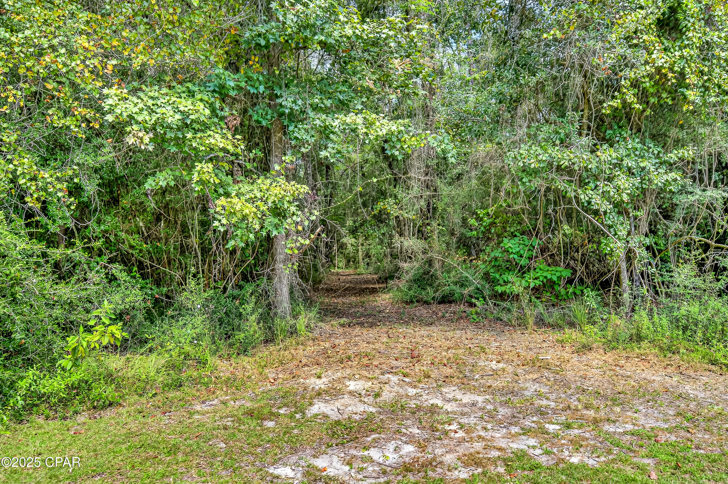 5hngfazeyvfibkcwgkn4li3e Mx1enn5j8lku8tok5w