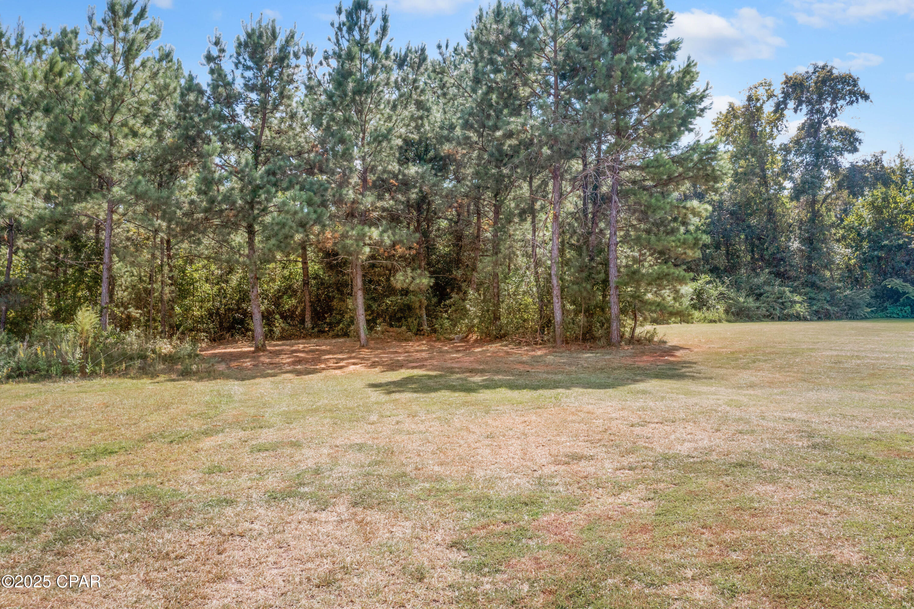 Image 4 For 4169 Green Meadows Trail