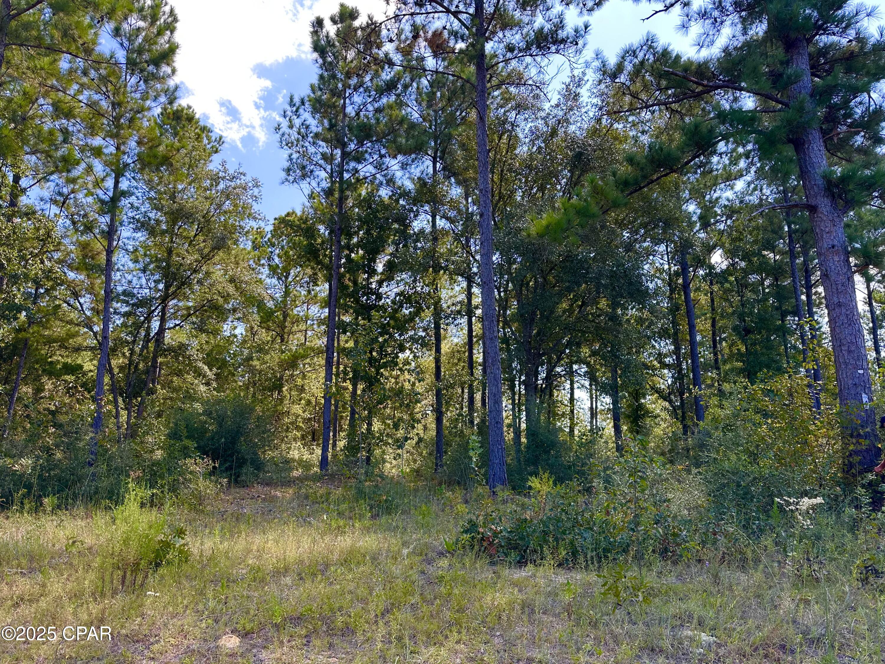 Image 1 For Lot 24 Fairview Road