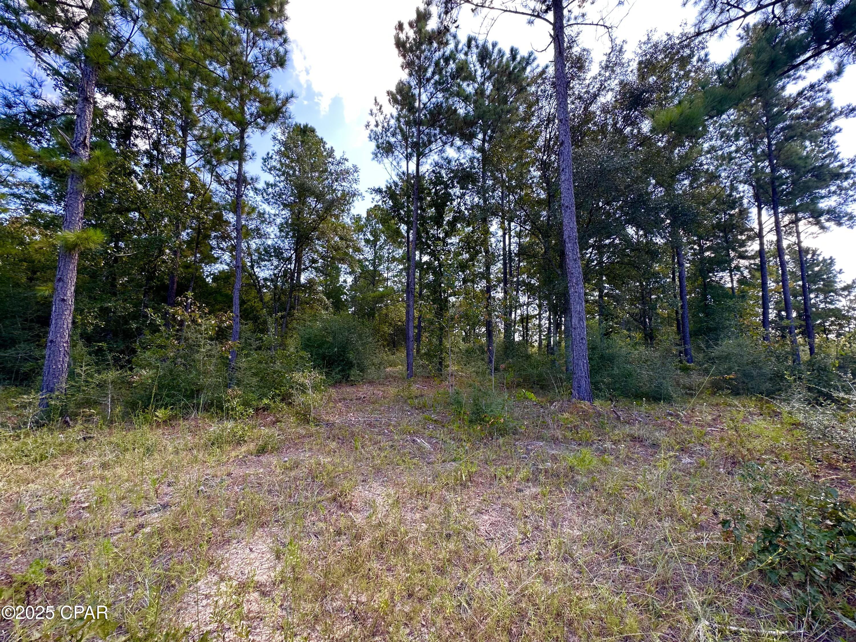 Image 3 For Lot 24 Fairview Road