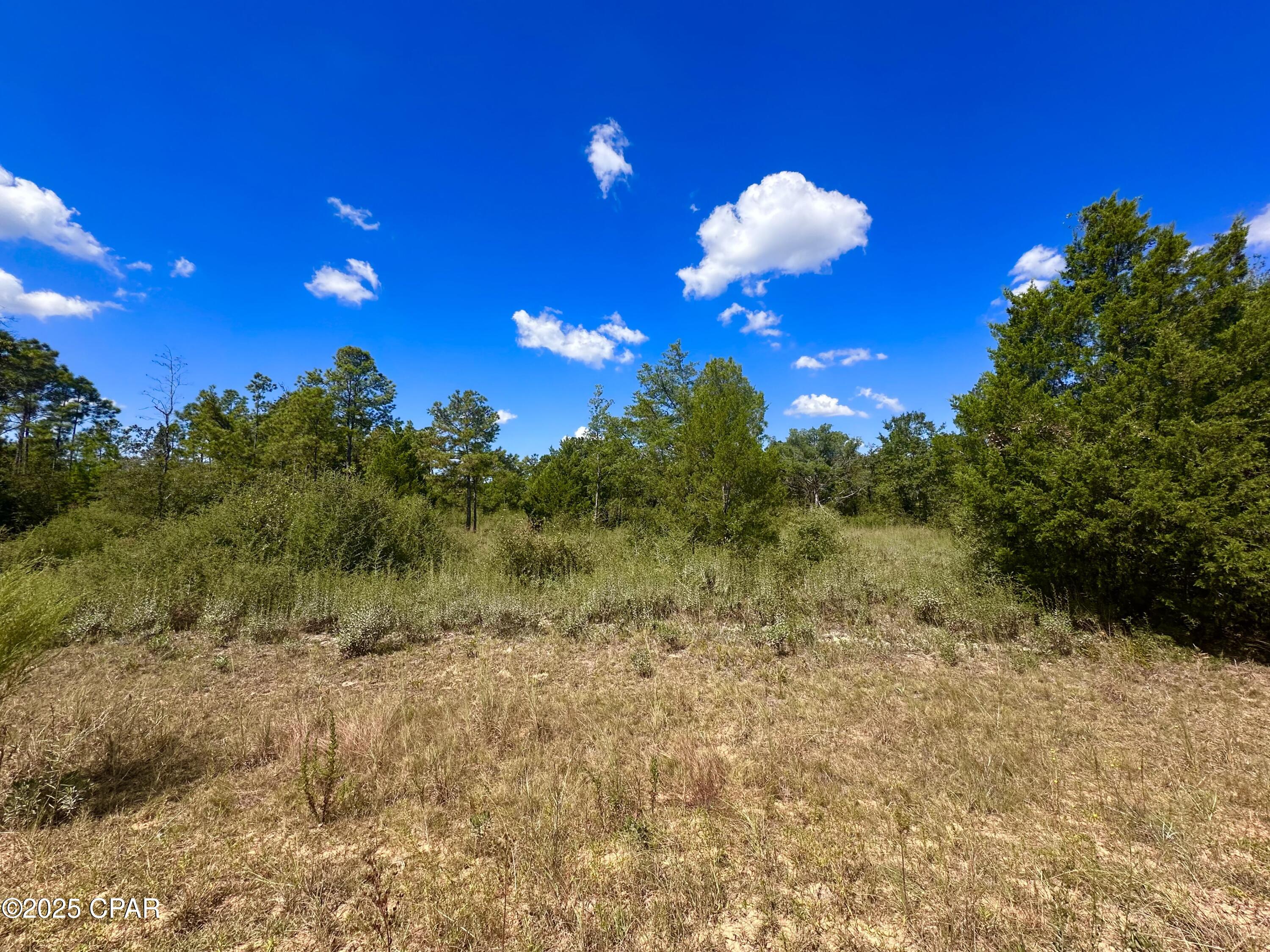Details for Lot 9 Marville Drive, Marianna, FL 32448
