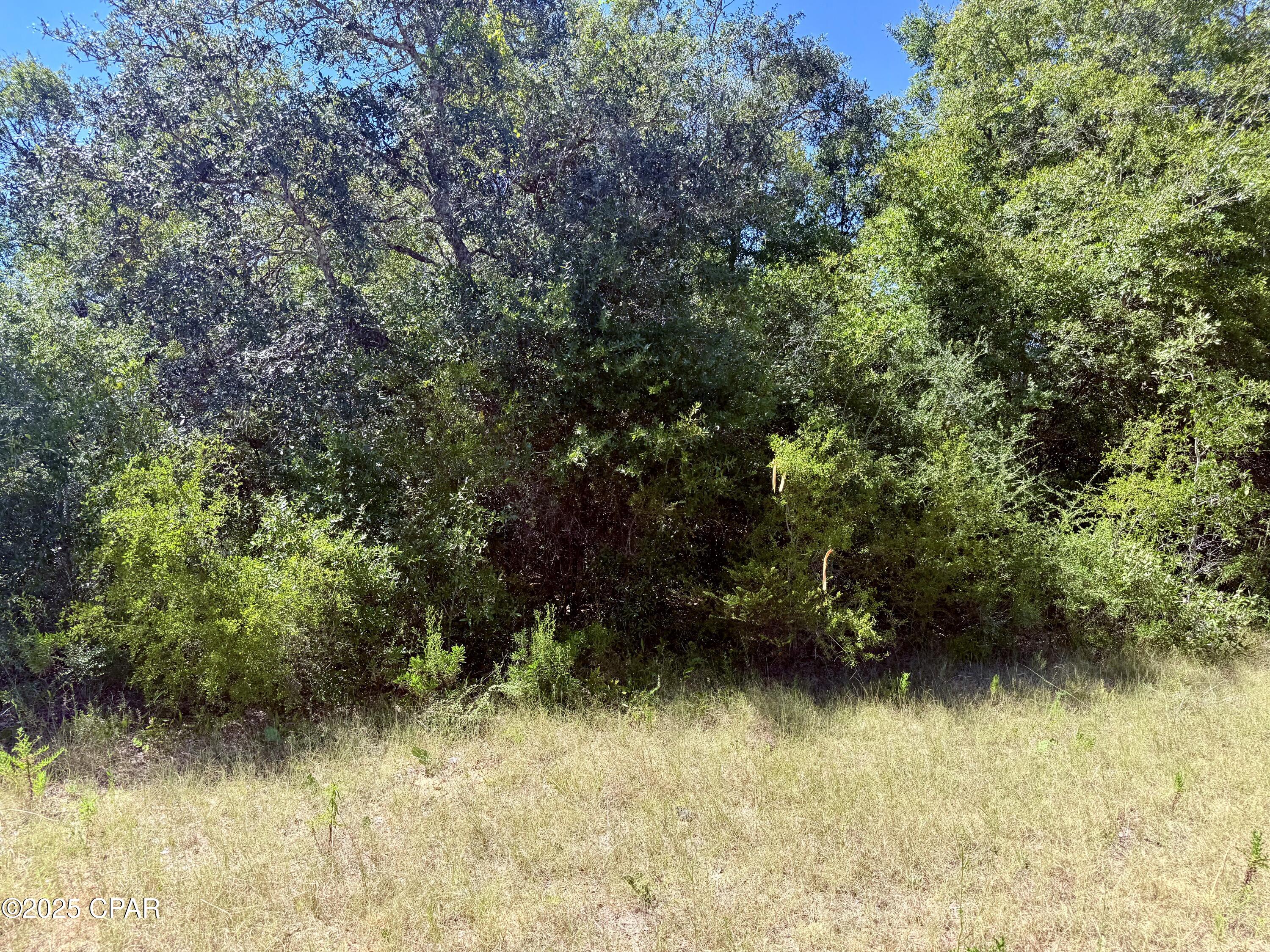 Image 13 For 3 Hampshire Boulevard