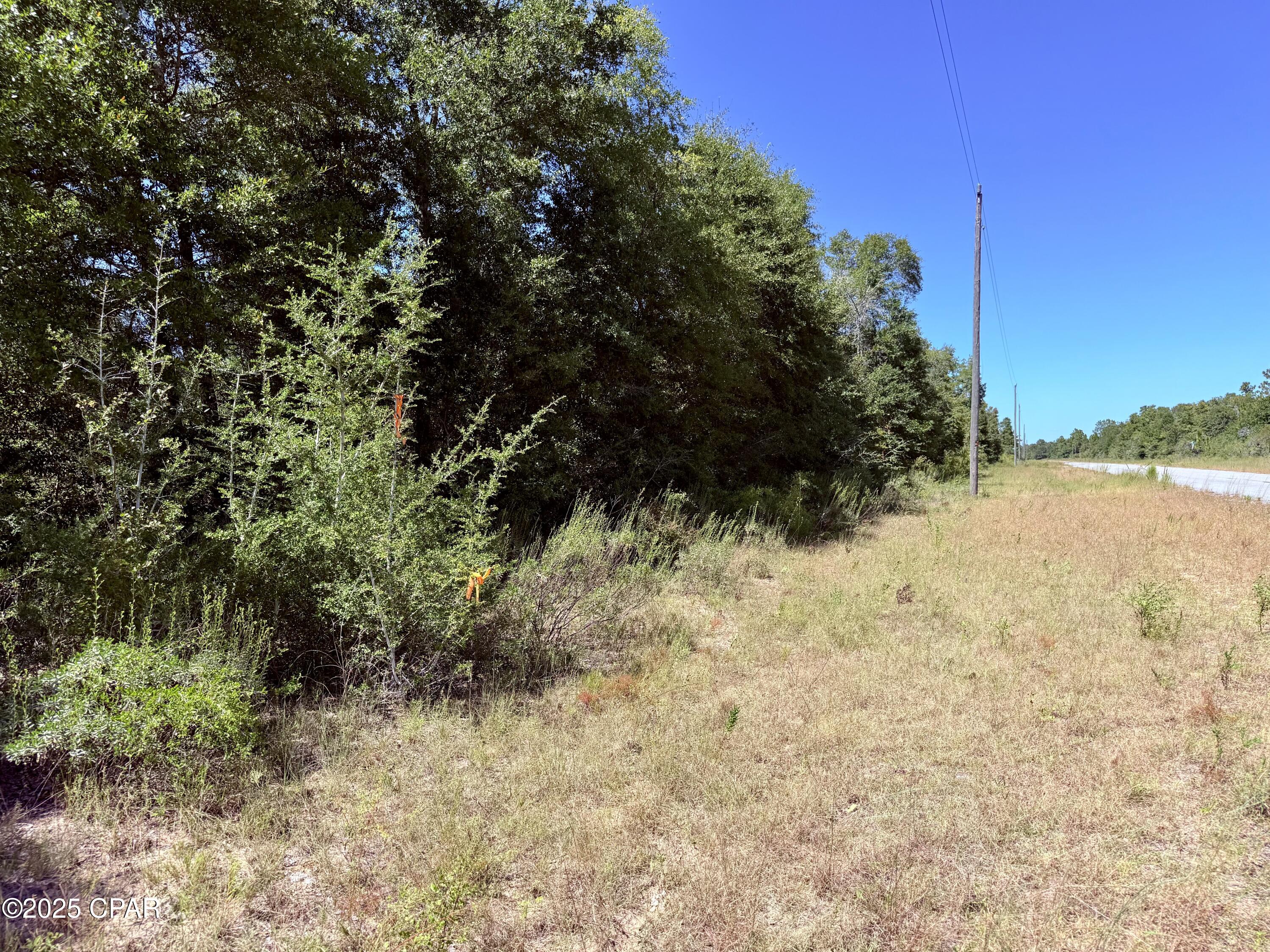 Image 14 For 3 Hampshire Boulevard