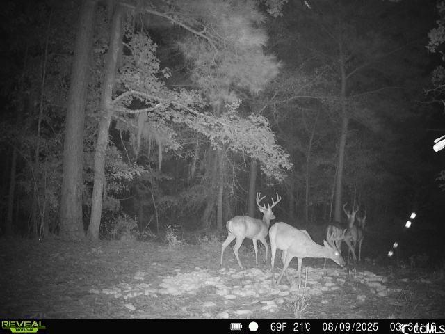 Homes for sale in Andrews, SC | 1457 Birch Creek Rd, Andrews, SC 29510 | MLS# 2522707