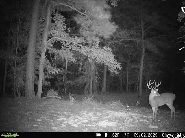 Homes for sale in Andrews, SC | 1457 Birch Creek Rd, Andrews, SC 29510 | MLS# 2522707