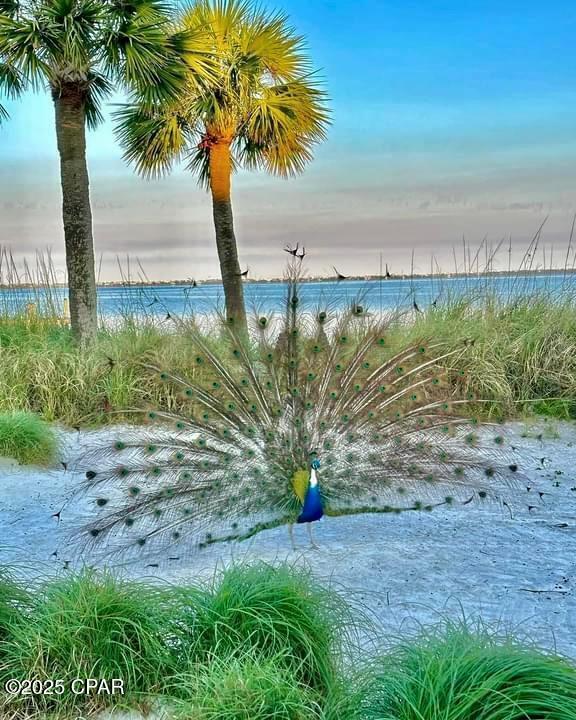 Image 58 For 4 Blacks Island Trail