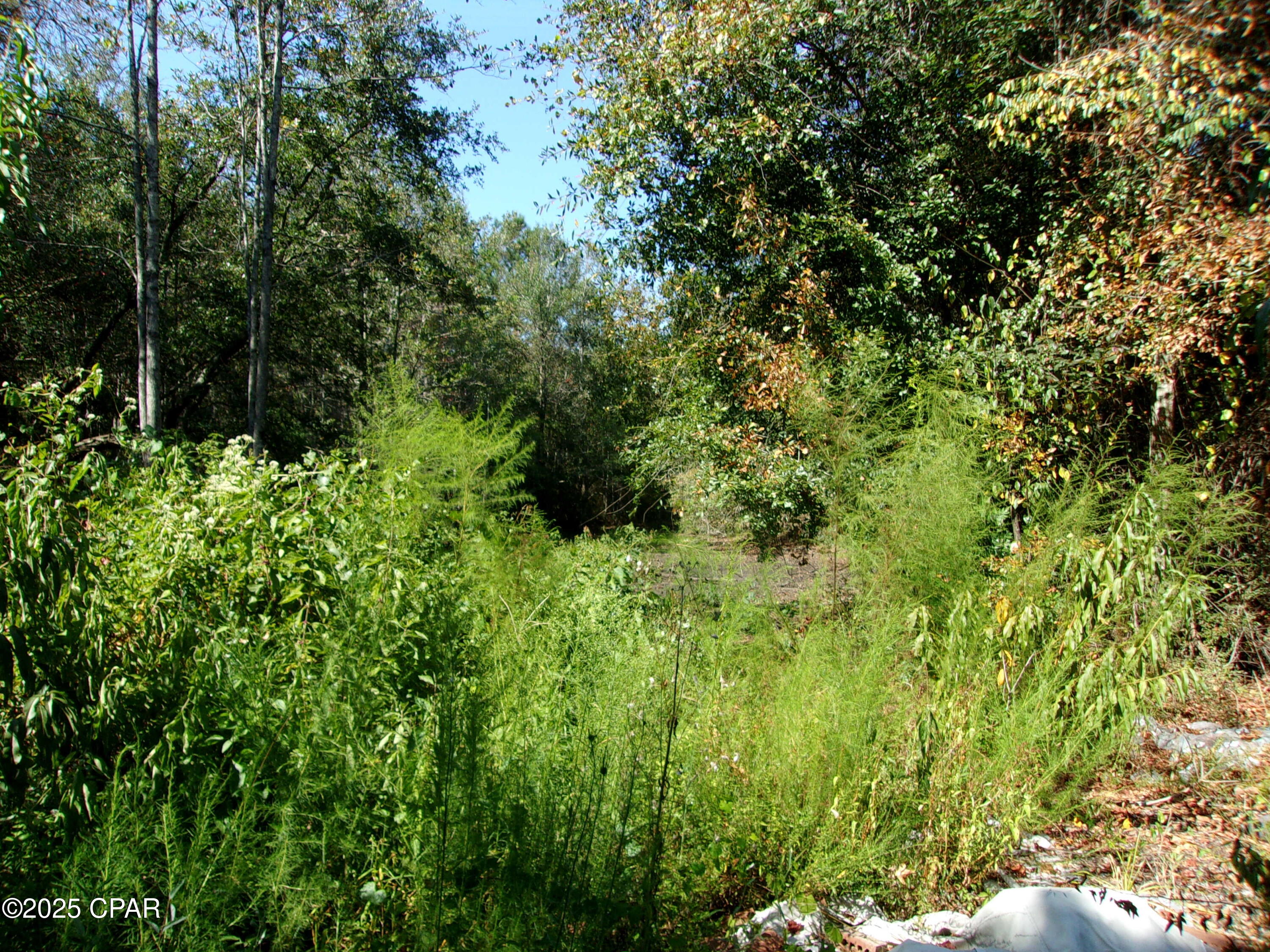 Ezihrcqyko_oz4rzebaftg7zsllktyhzchkxaitzpiu