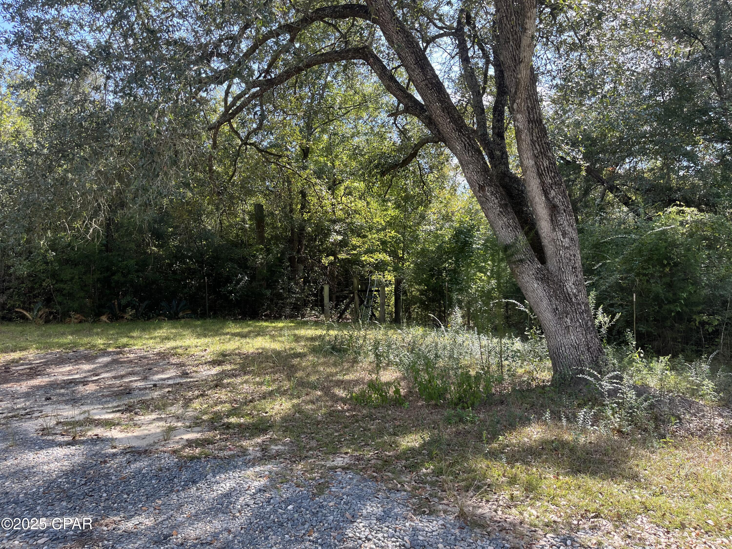 Cfwmota17ji71akwy_mgayt2qa2qxnu2uksemlerz1a