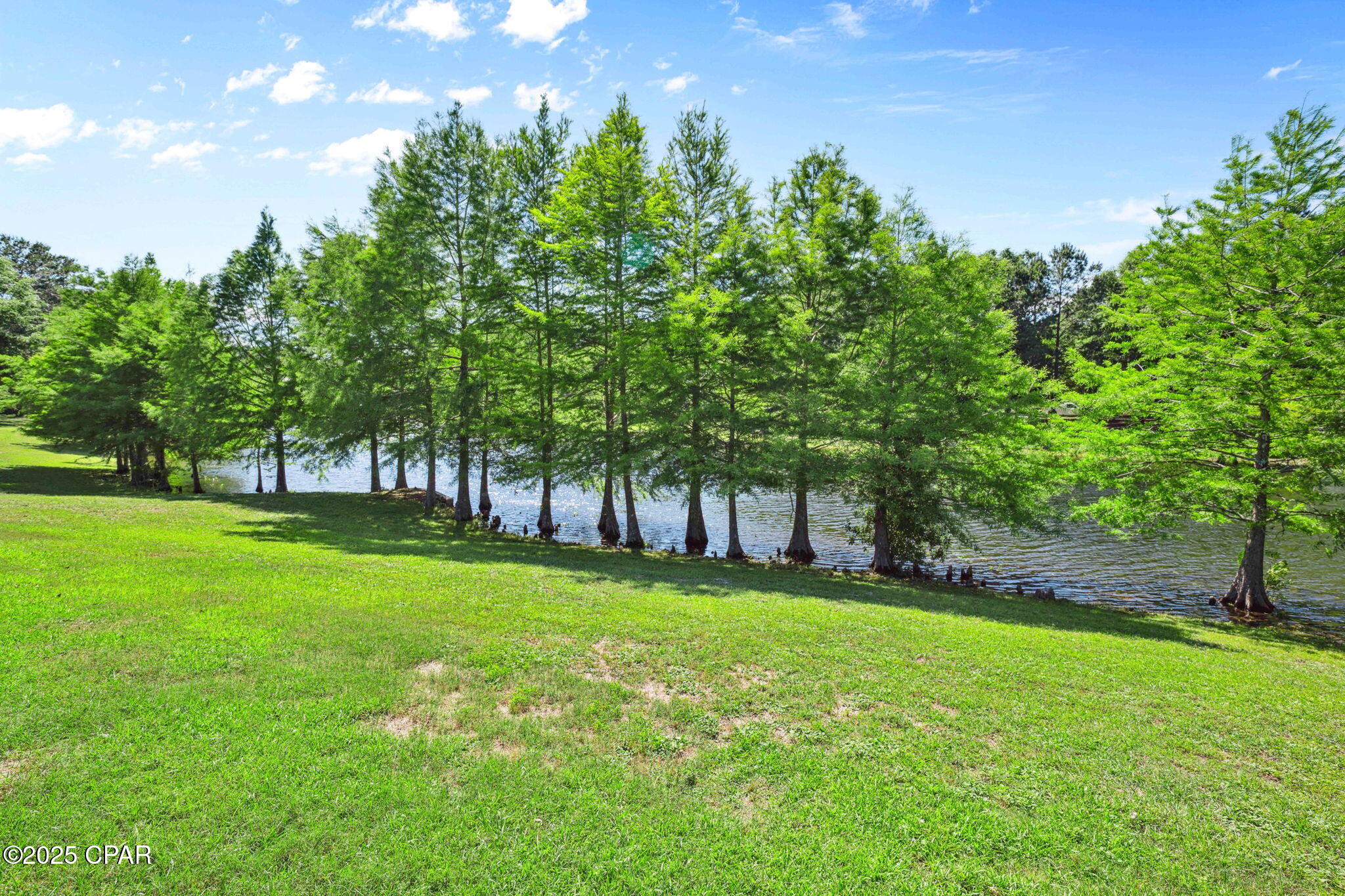 Adneqxfuxkrndegeef_vlojd03_0ogv_bgrszsasgno