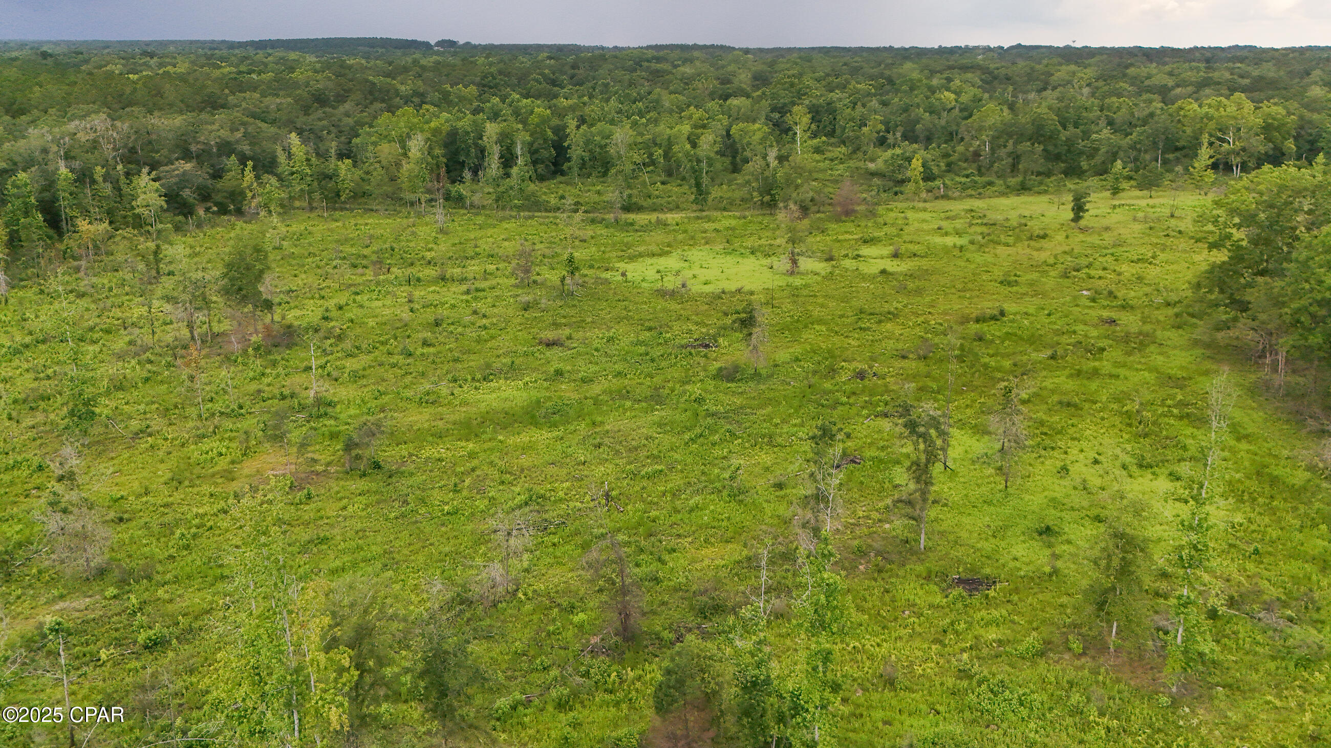 Nl_qm9plwgtrkmvo4kv4ezry Uvzz0nc3rd0twz6mzs