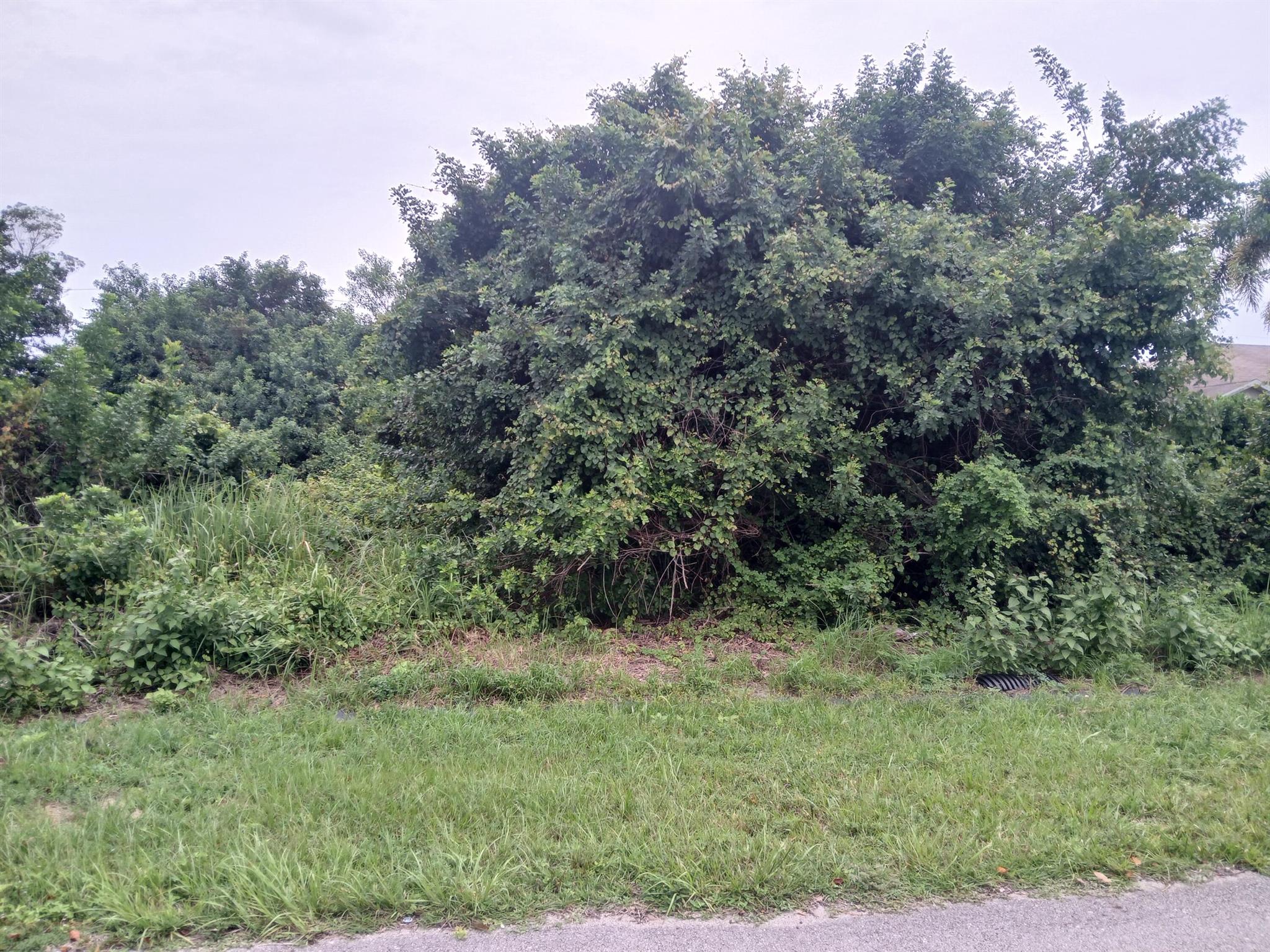 Port St Lucie Section 33