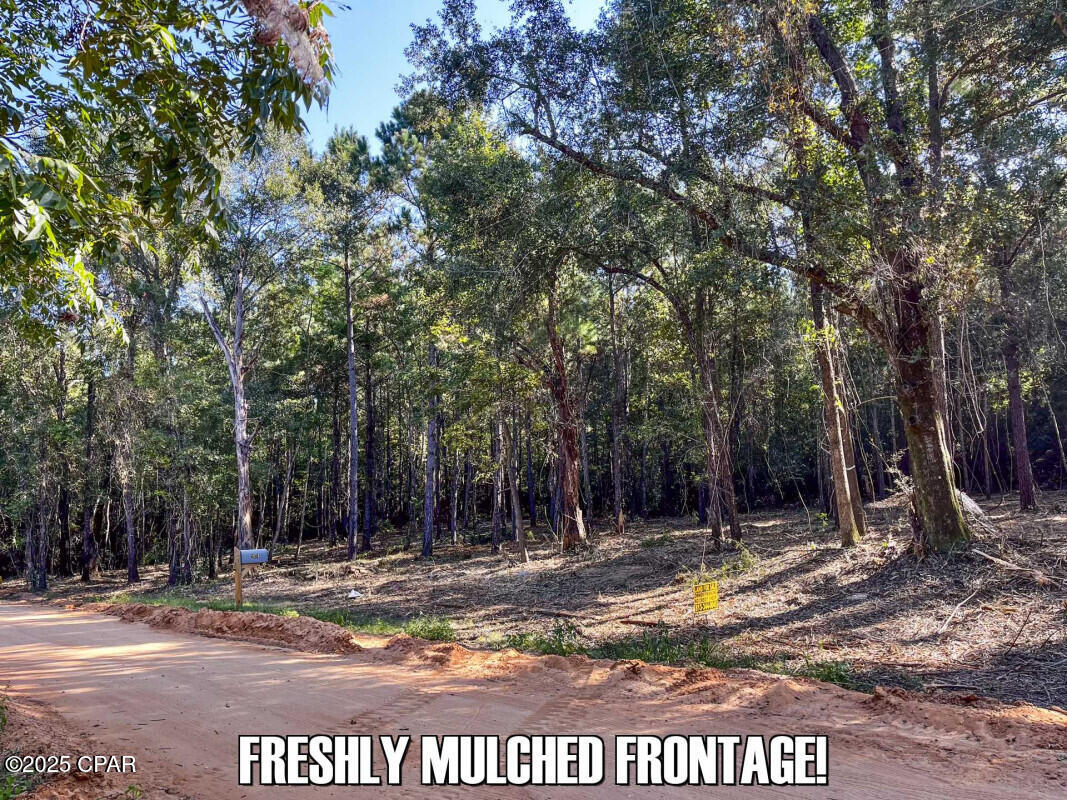 Image 10 For 0 Ambus Lane