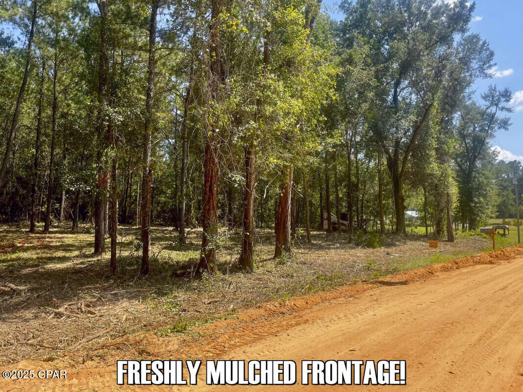 Azfbrg3hgav99ivwqwd8juxo1zgnt T07jsy1esdvqc