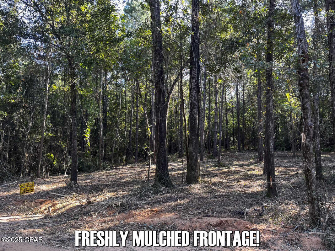 5faaeoeoyl8xudli4i06f Ckhs84tkvqwwkvin_yjpg