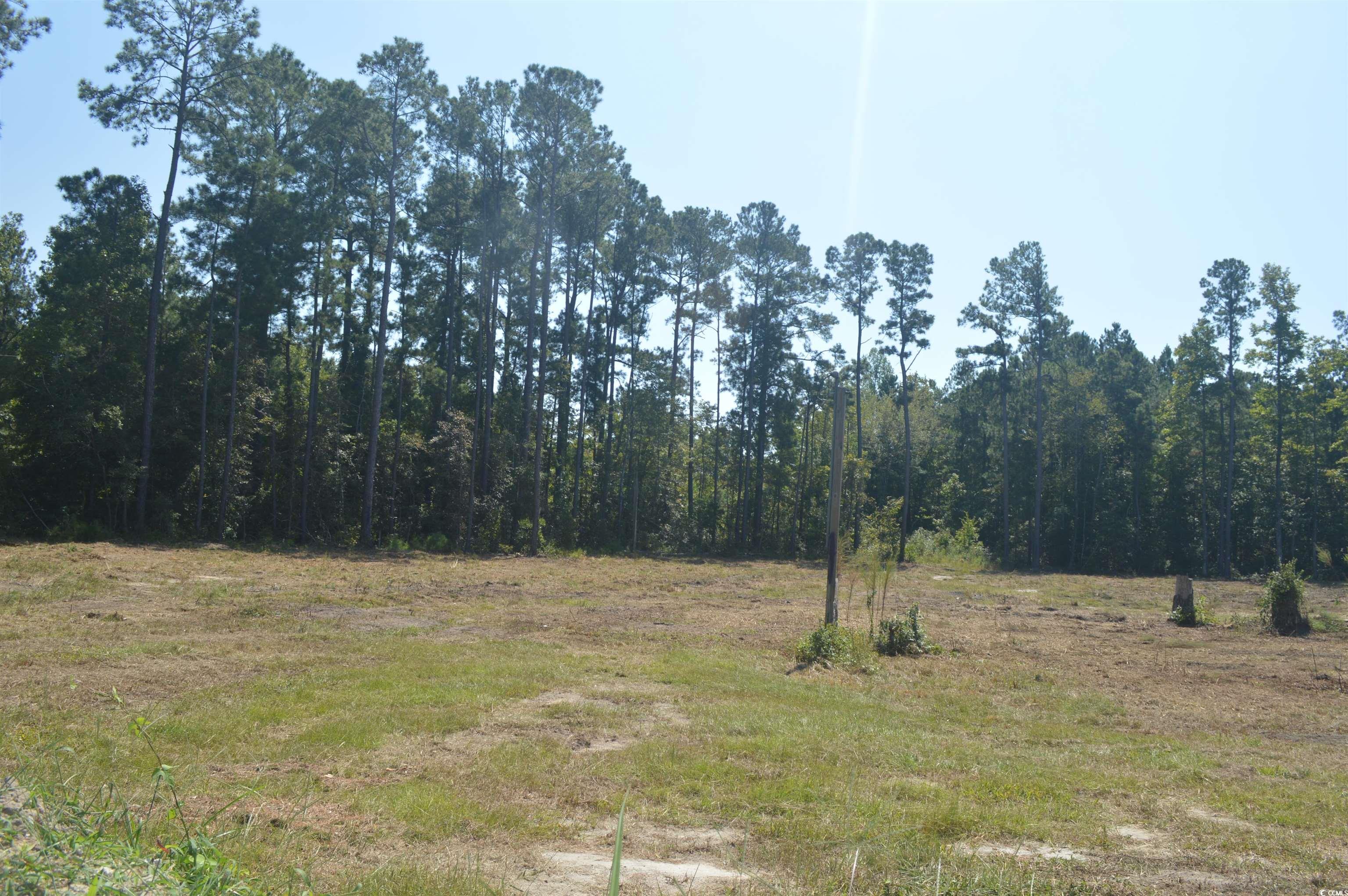 Lot 3 Cypress Dr. Little River, SC 29566