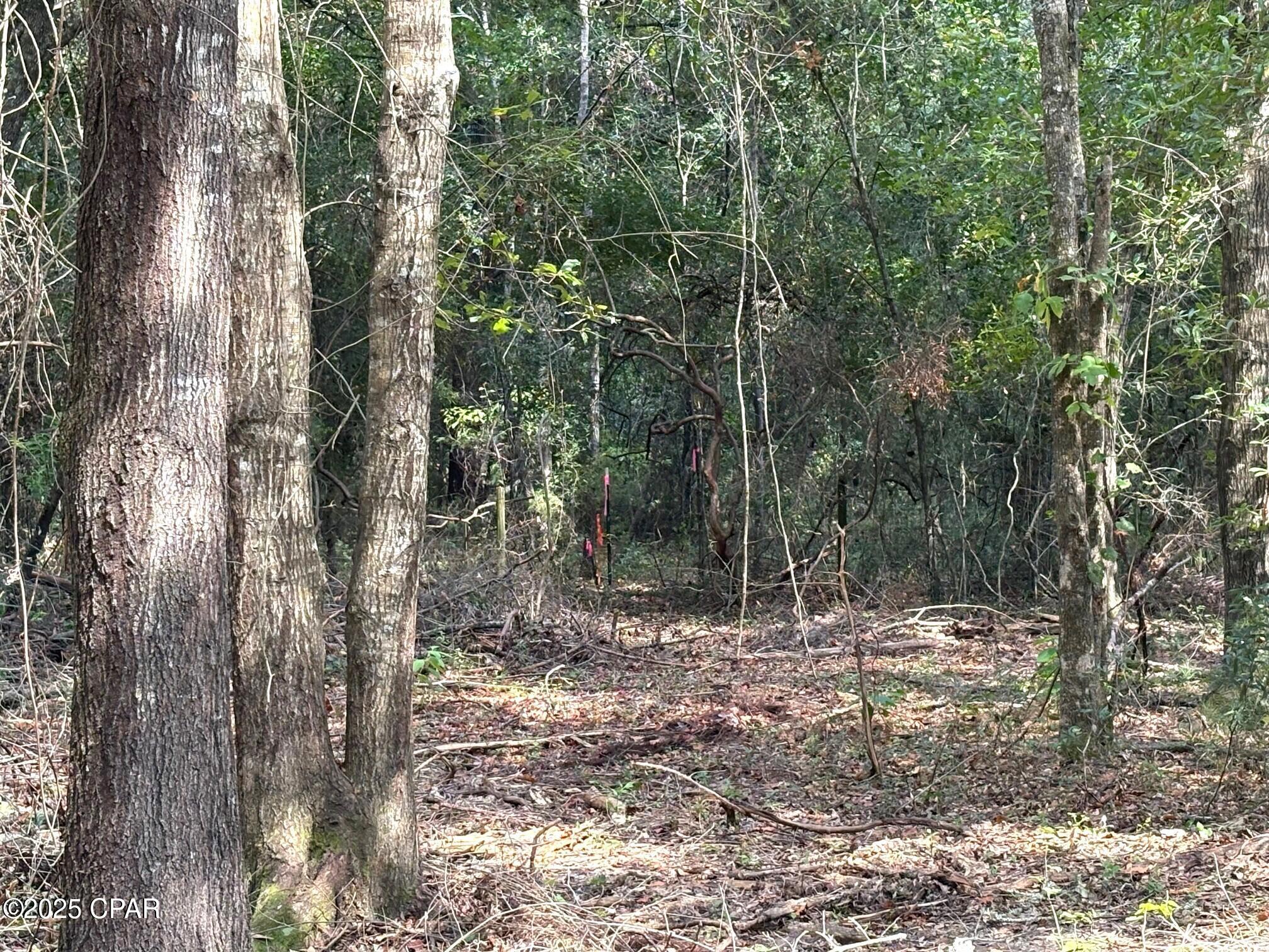 Mr Raykns96wvug3hld5x30uoqarkym3nebt27bavuc