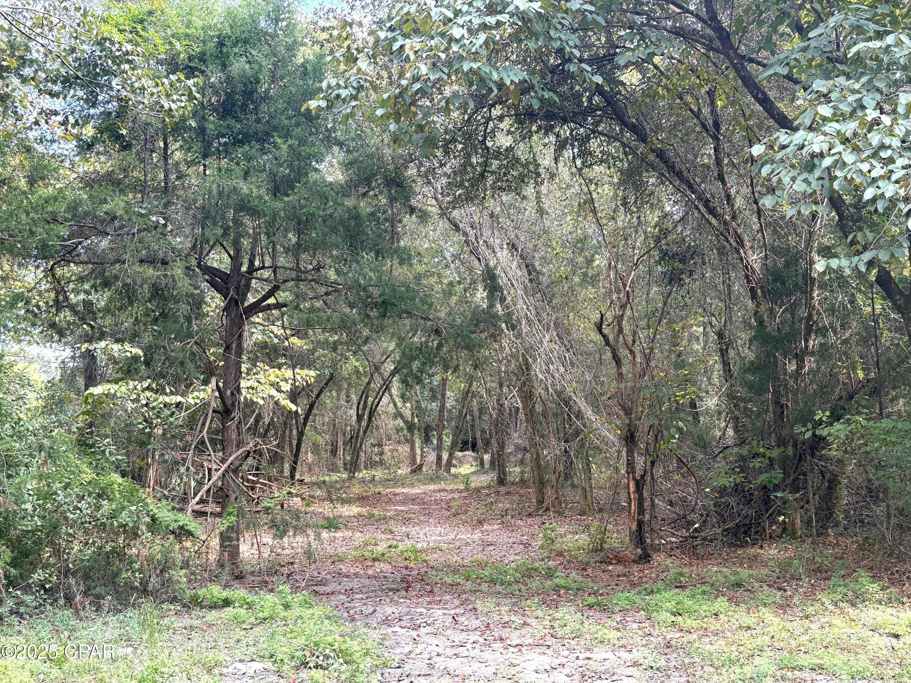 Vzuvgyxltcxkhbratko32yuimsx02u5csuwaxqwbore