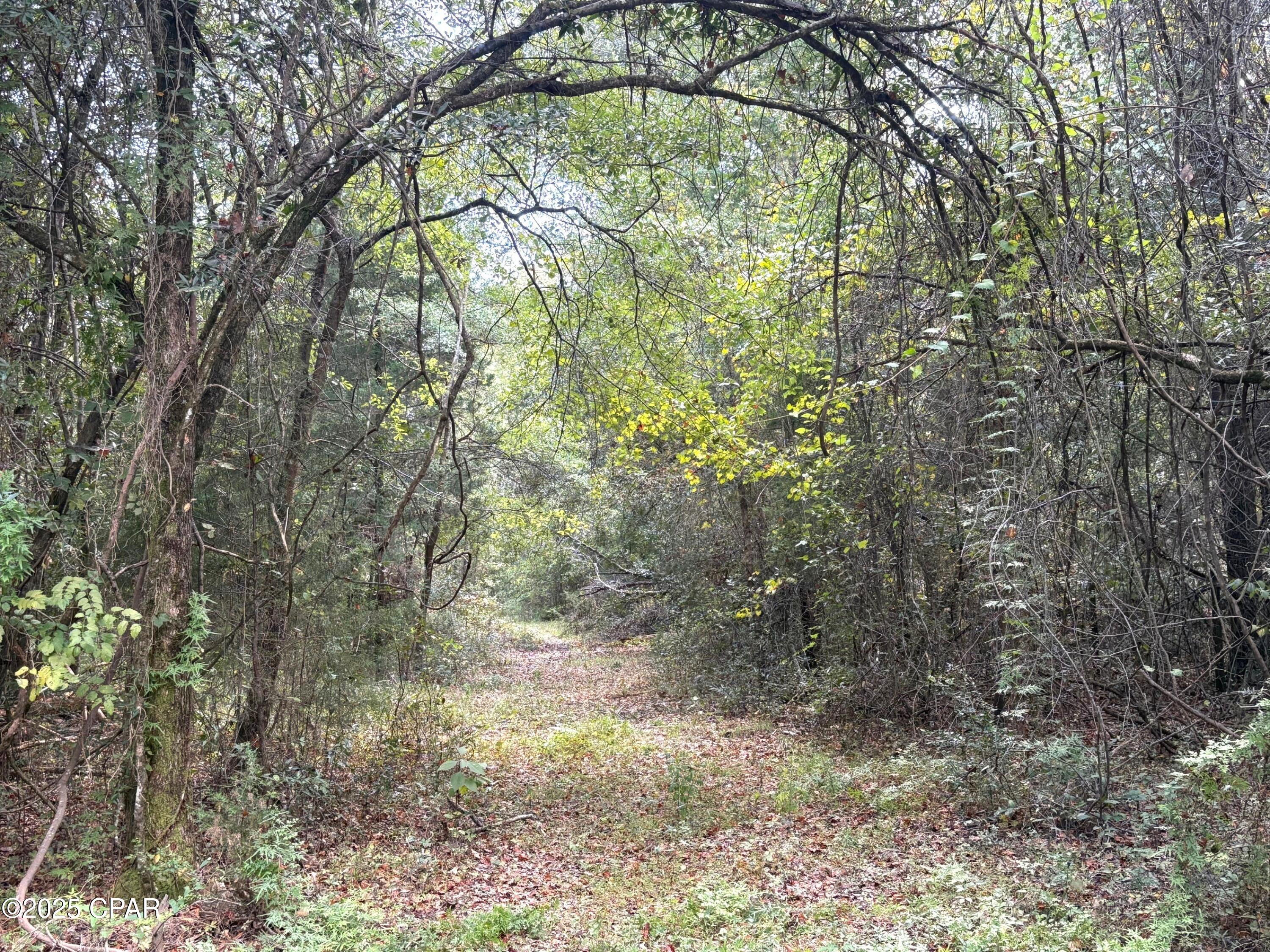 Zk0cx5_fdfw2s15vttpnqmje1nilltrcb5tsgqkhmds