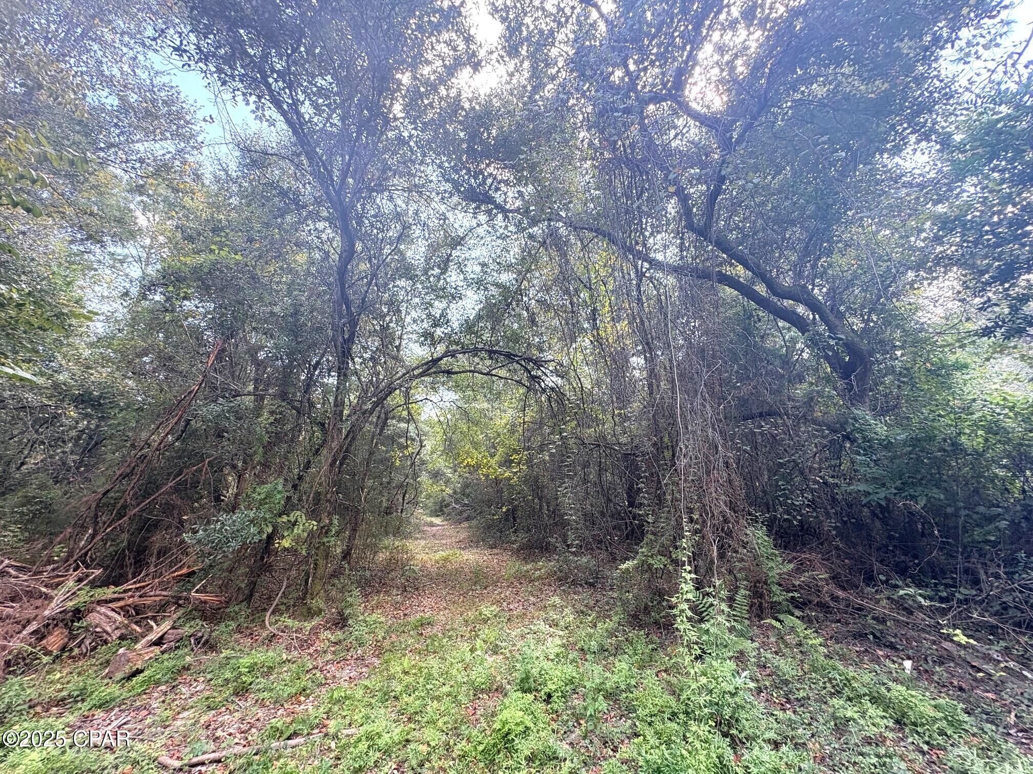 Deky7ykghqpnldvtrtrexfn2vcvepnrxm2u4b0ewwoc