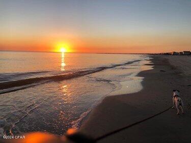 Ycbgynjwvgg_n7tmwjsiqvcwu28h1efbn3jchurszns