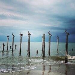 Mfupe7teaty627qoxrcfvbegb0vx_zx3 Zavz8_ Xas