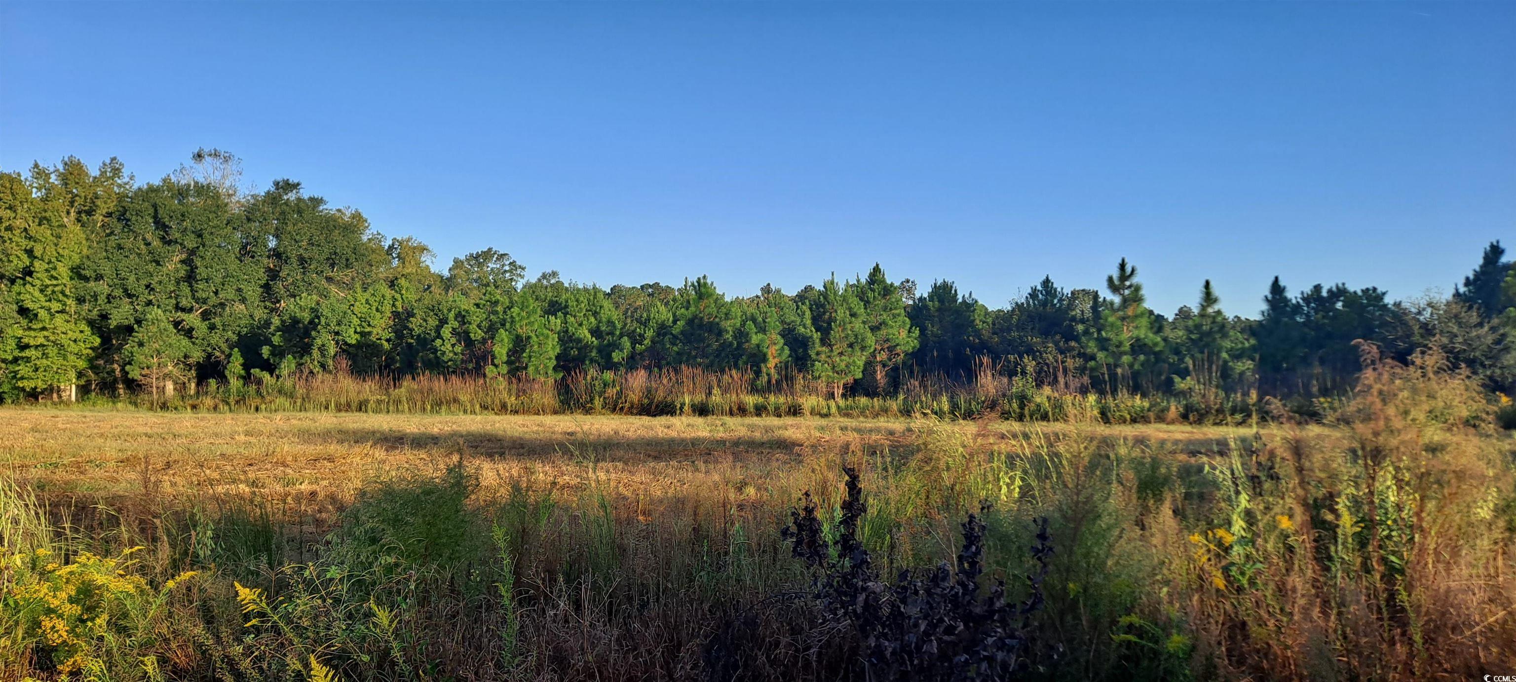 TBD Wee Tee Rd. Andrews, SC 29510