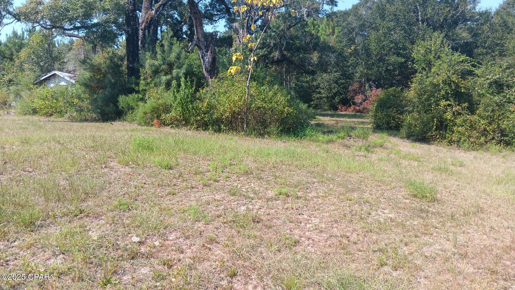 Image 3 For 7104 Fl-81  