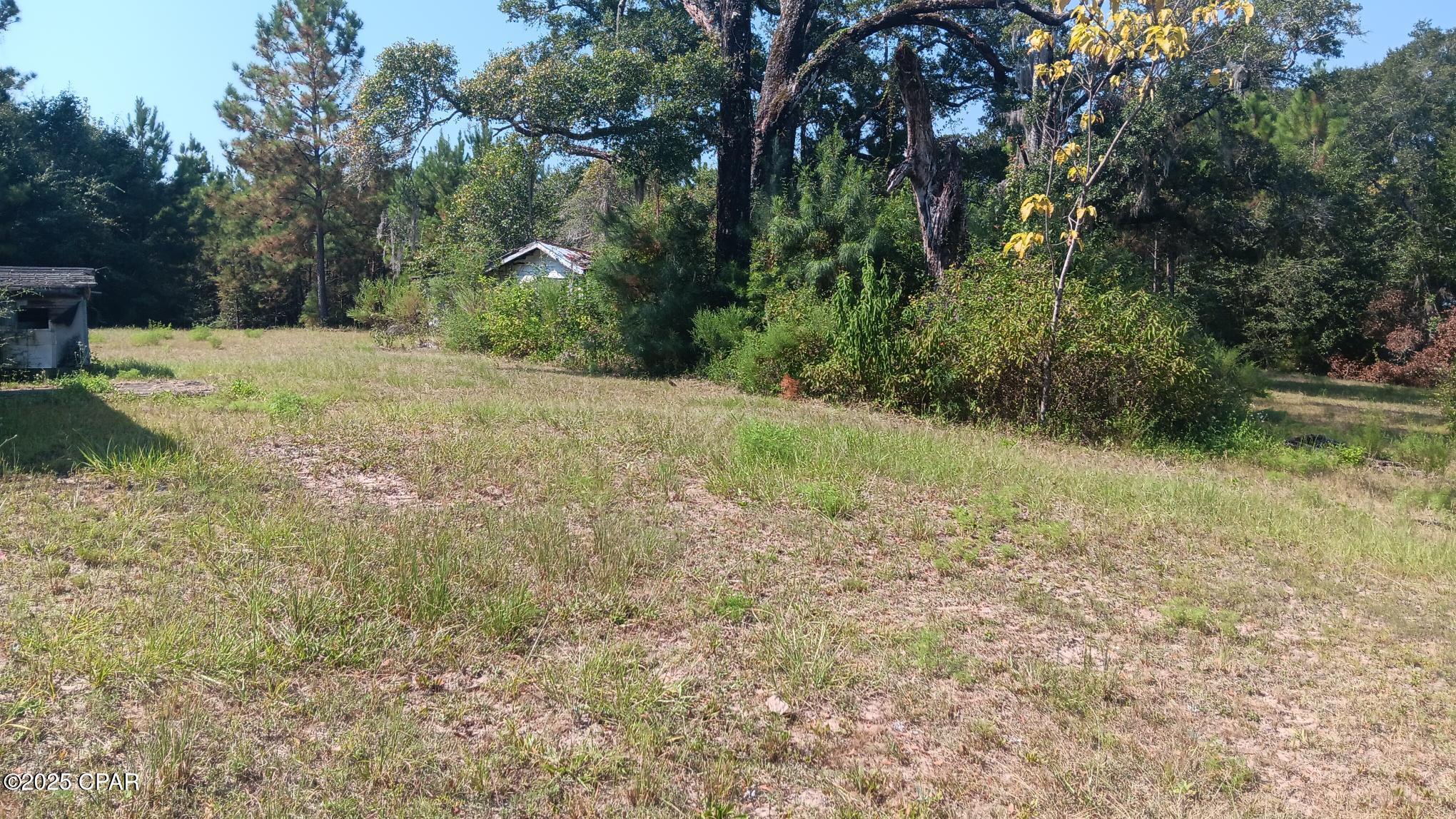 Image 4 For 7104 Fl-81  