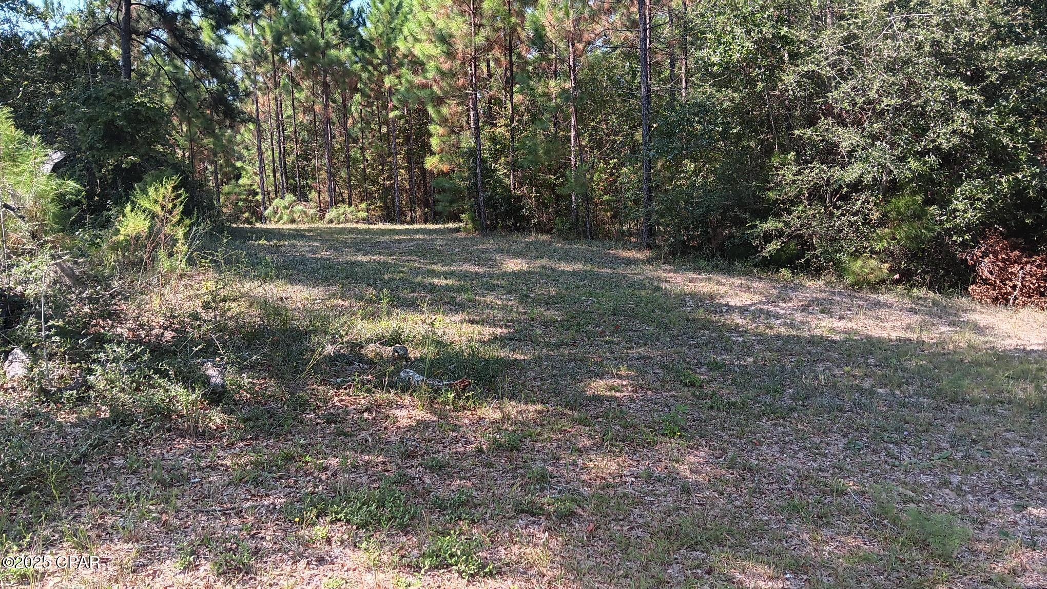 Image 4 For 7104 Fl-81  