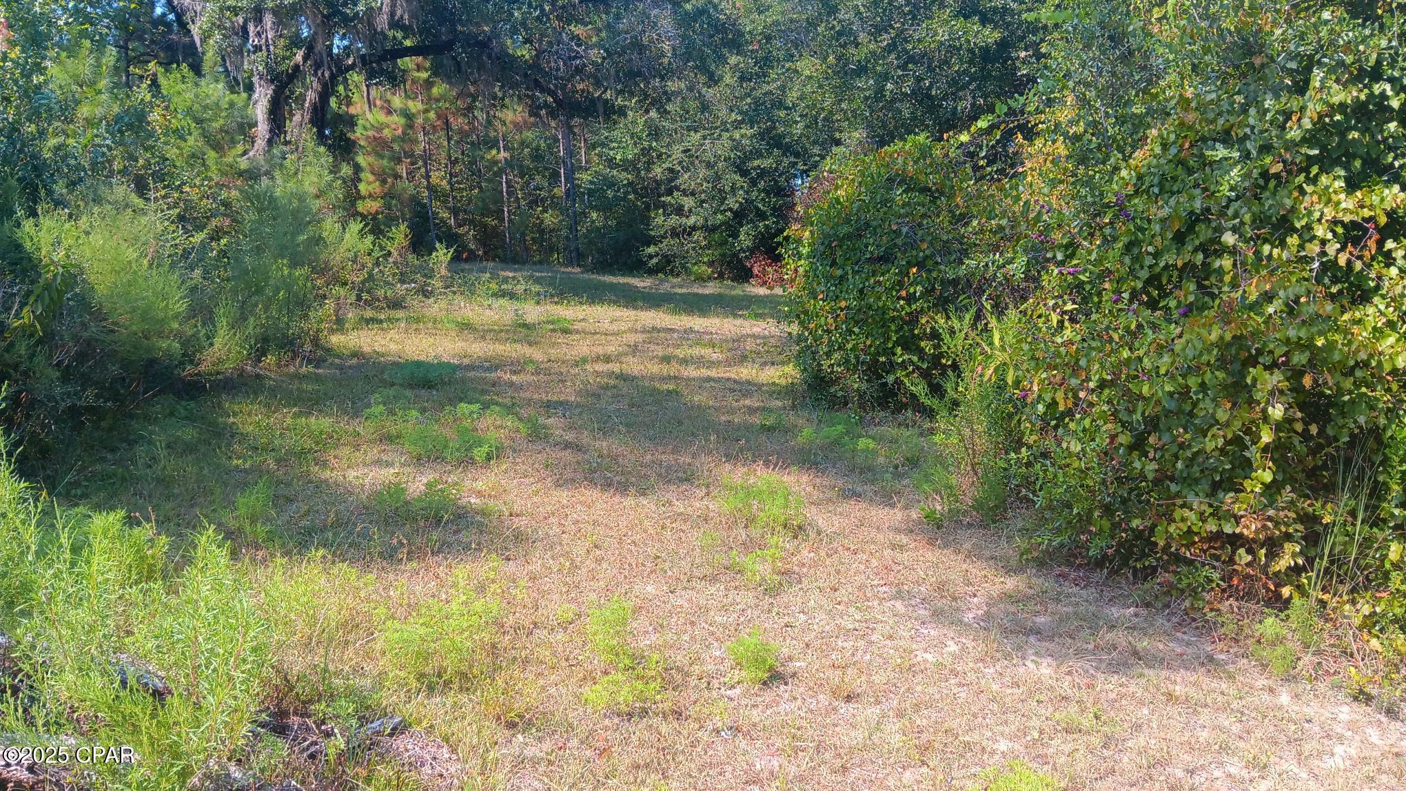 Image 6 For 7104 Fl-81  