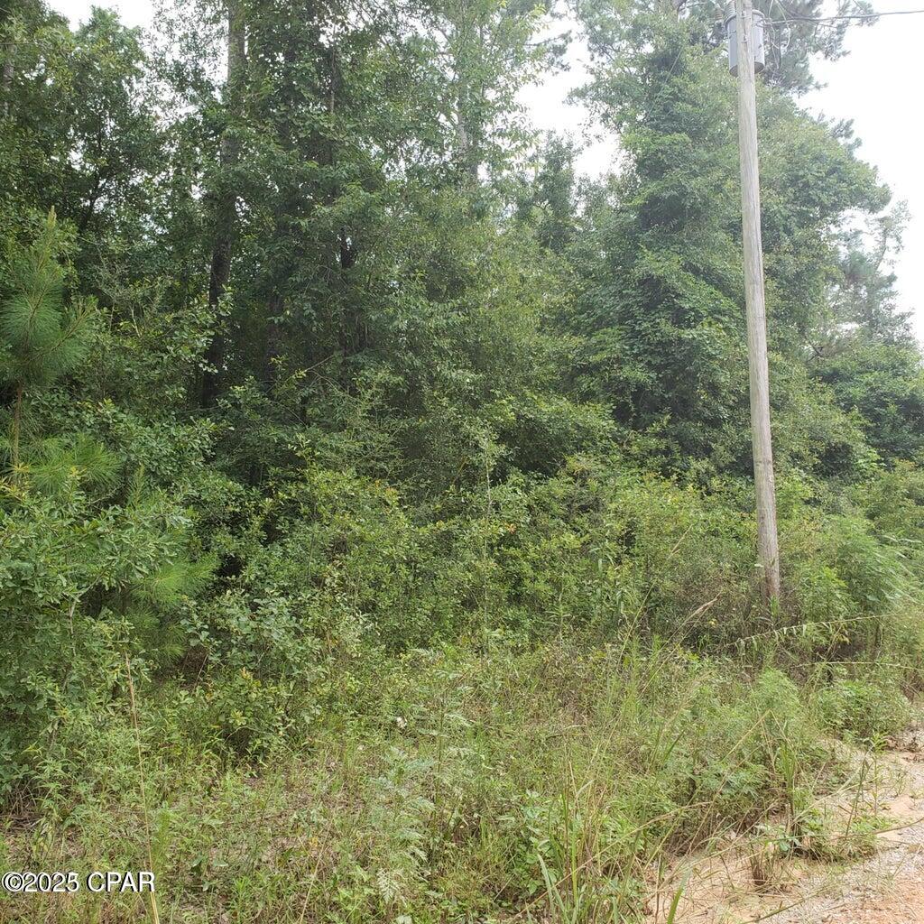 D00jlngu1wpyrt1i_xd_oucsuzsoi4brt4e Vweoo7w