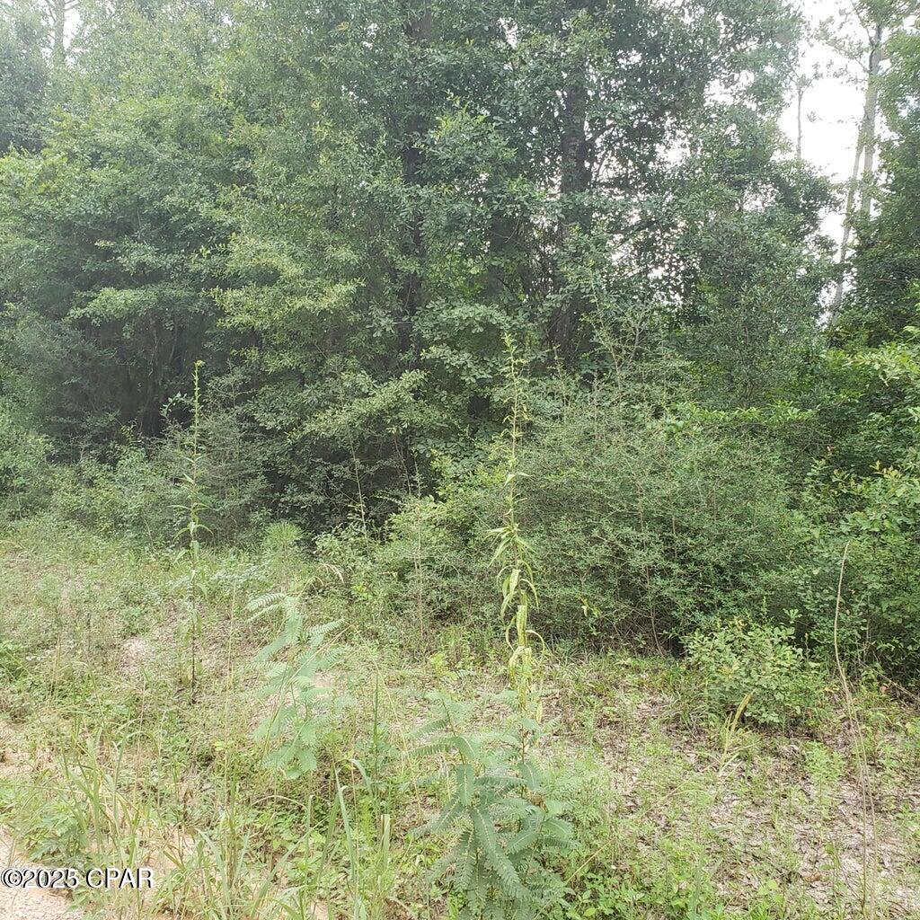 Vjmw9tqgcjo I6m Jyq1idefu1ladloi_g9yze J8xk