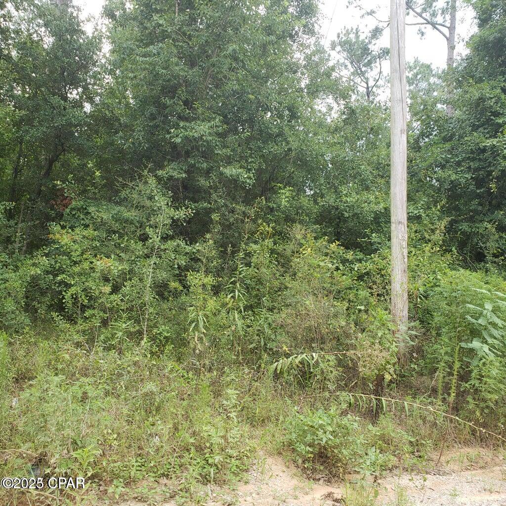 72mmhl2dmxypeazcduyohz_injfy2818f Zu1c8g3jc