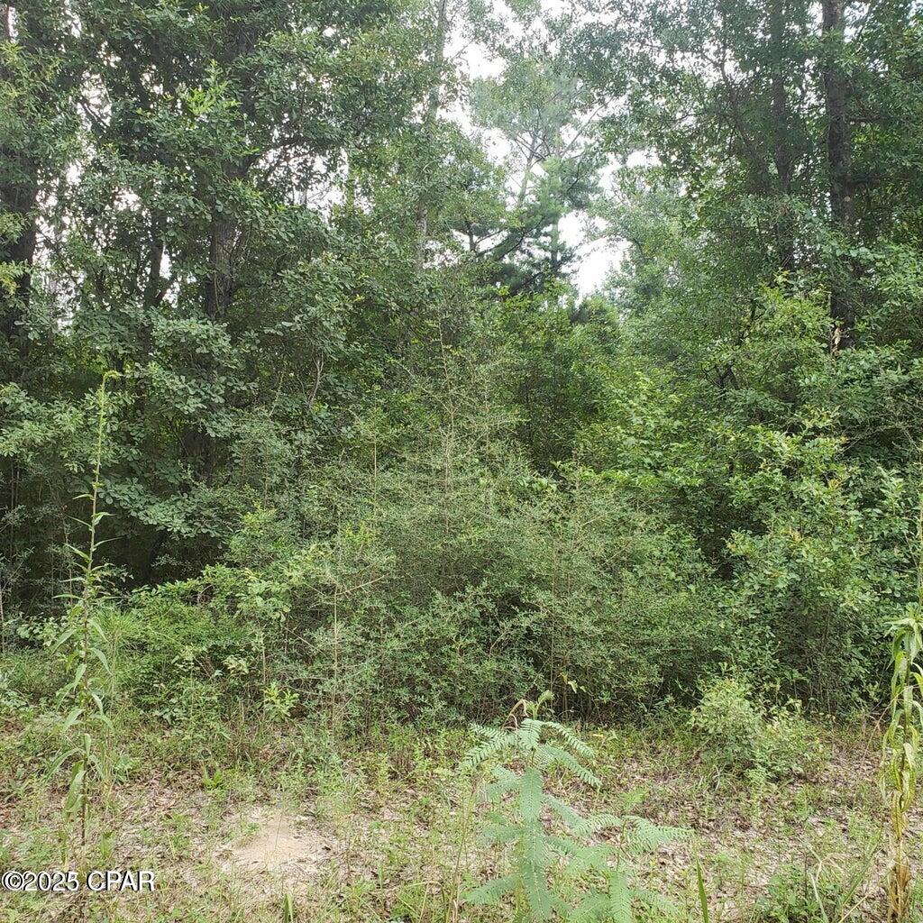 C6l8hwczux2a5gk7p9ldmkenxs7fagsp1w7xrtgzc9o