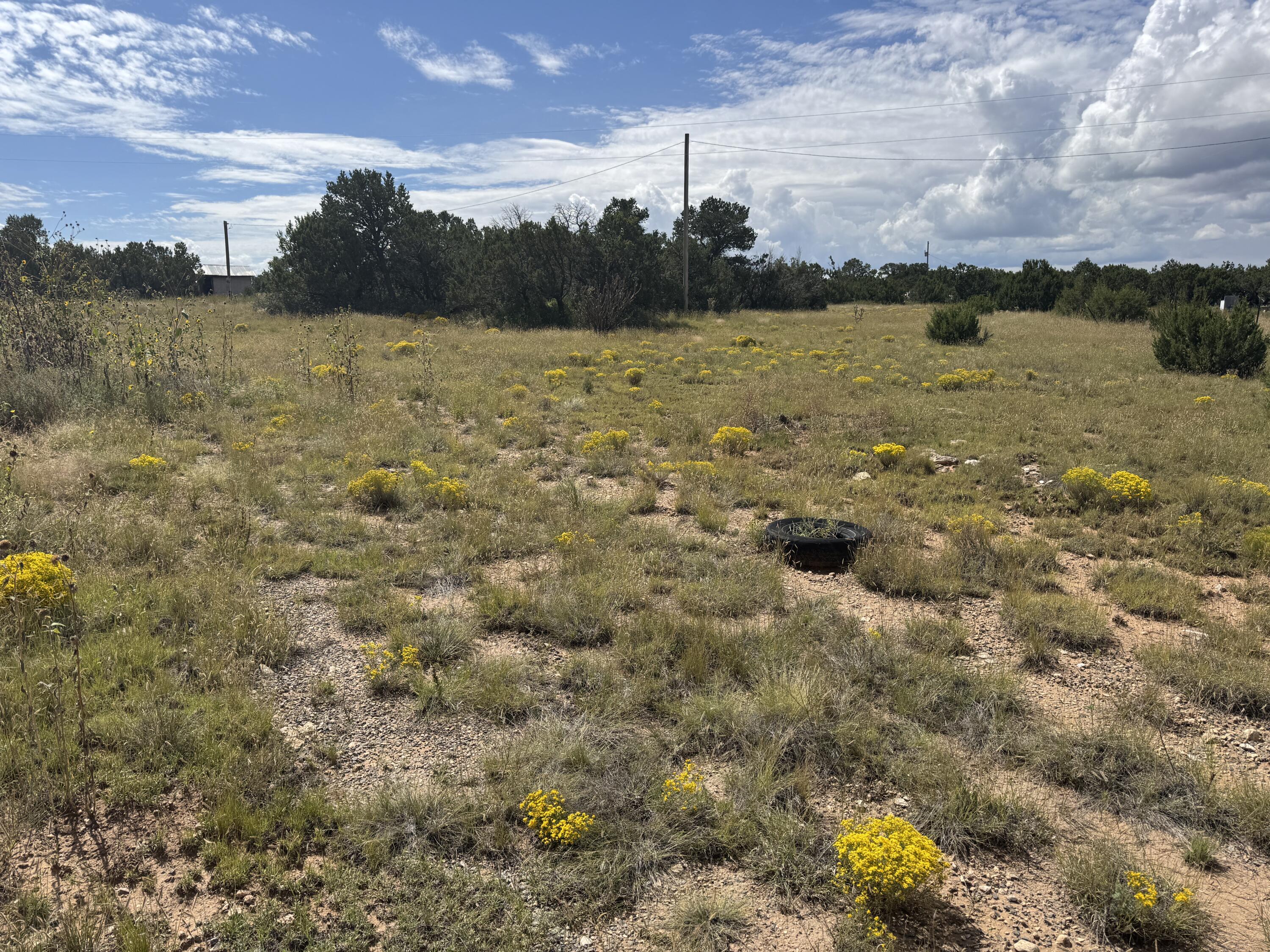 296 POHL Road, Tijeras