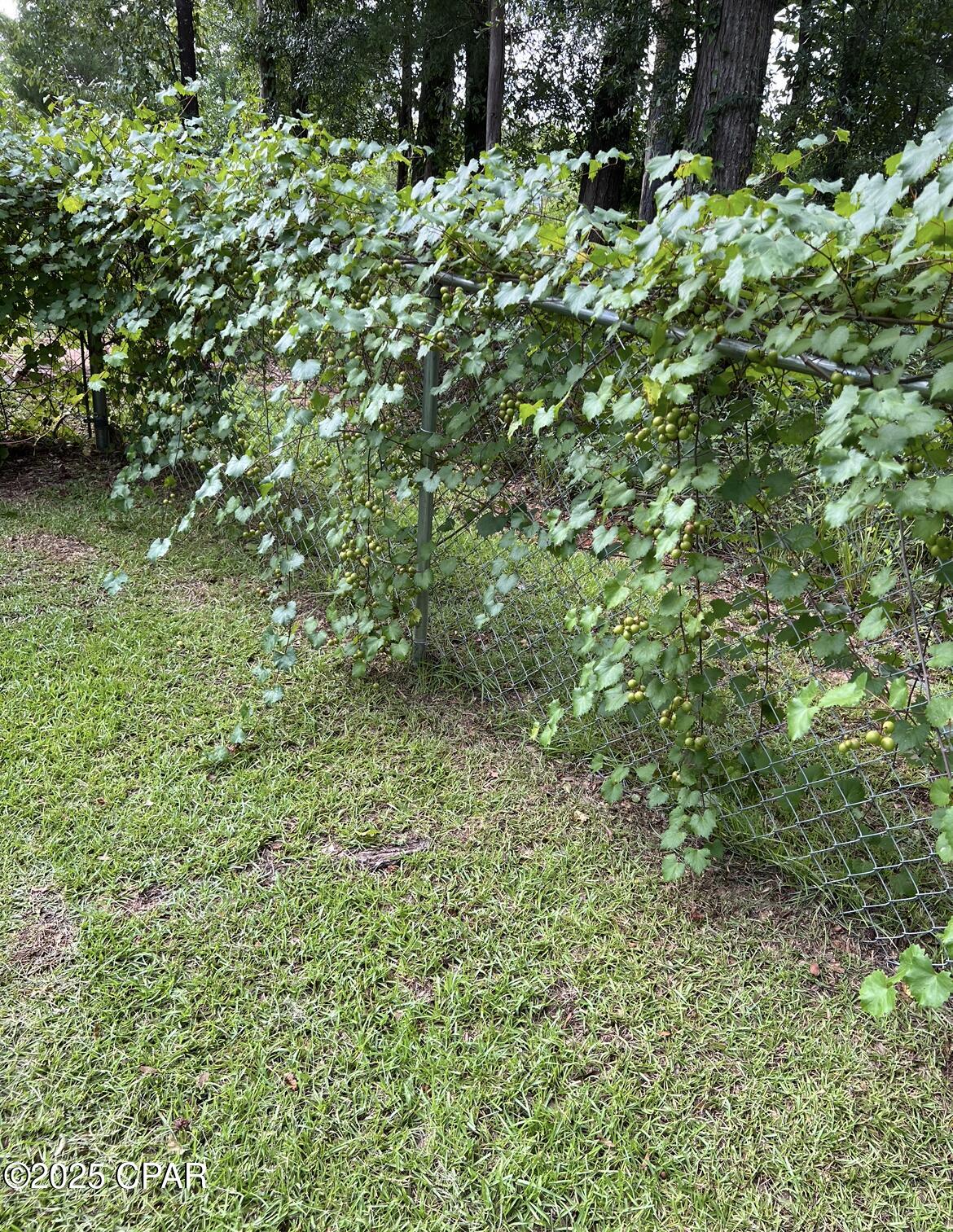 Dghgtfqt3vs Acyh0no5n1bb 029hqigdbabb W6vgm