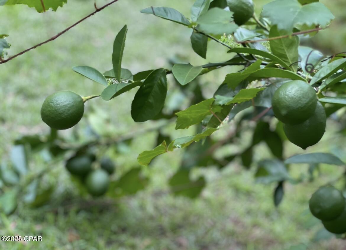 5wsdrab3_n8ndv71zqyrnkck_s2qlizc61nr7l36g74