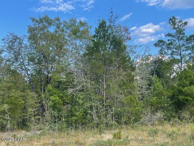 Apynaoauein 3mg2ta077q_jev6mv3tw6oeqvcrmdte