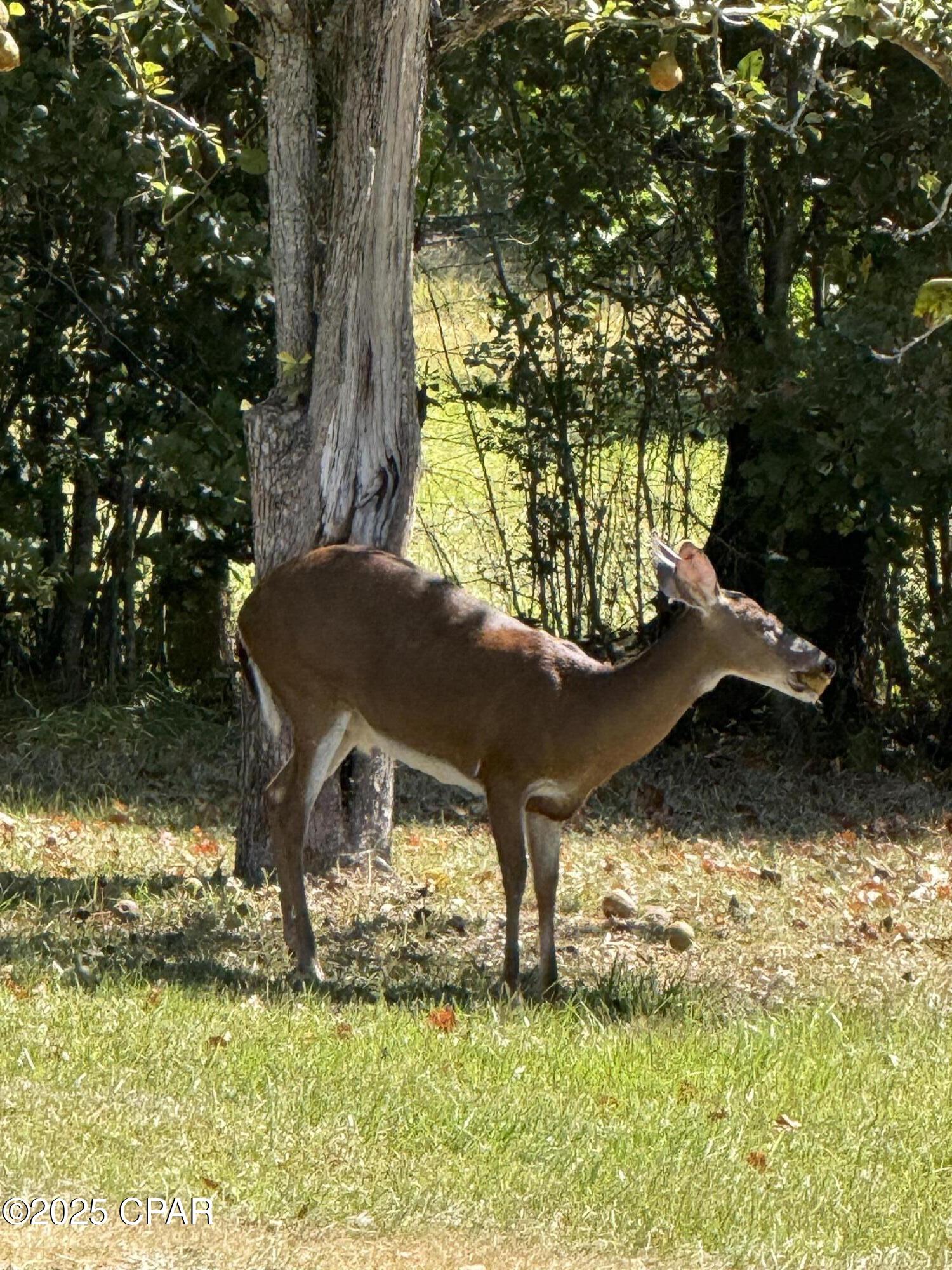 Urvdt05sduz3e2ph_waslz_u0kmmuwxiilv19tmshzu