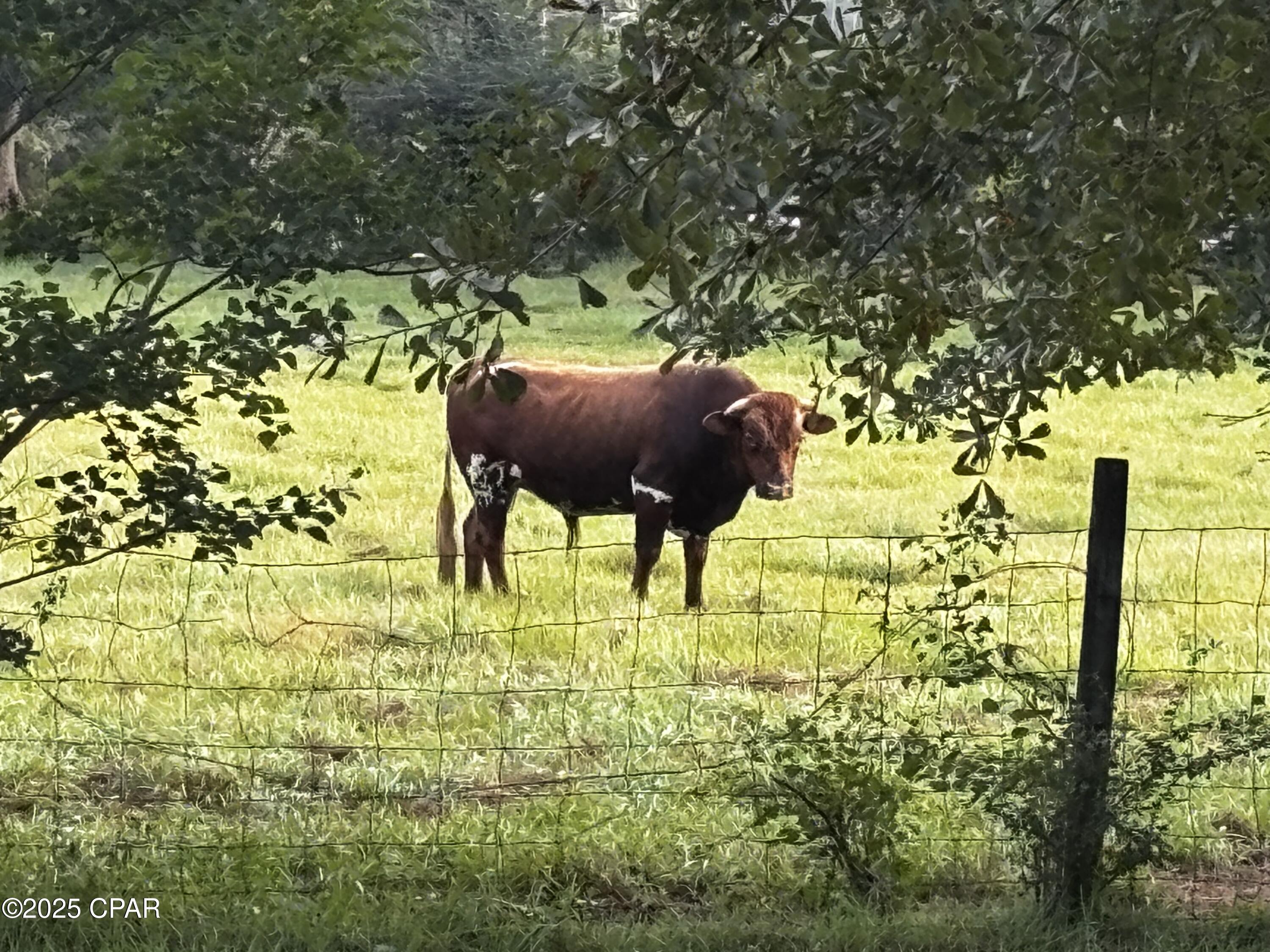 Acxqbsqlxavjucsisfpdsuz_hbdt5s Hs1qnddyoqtw