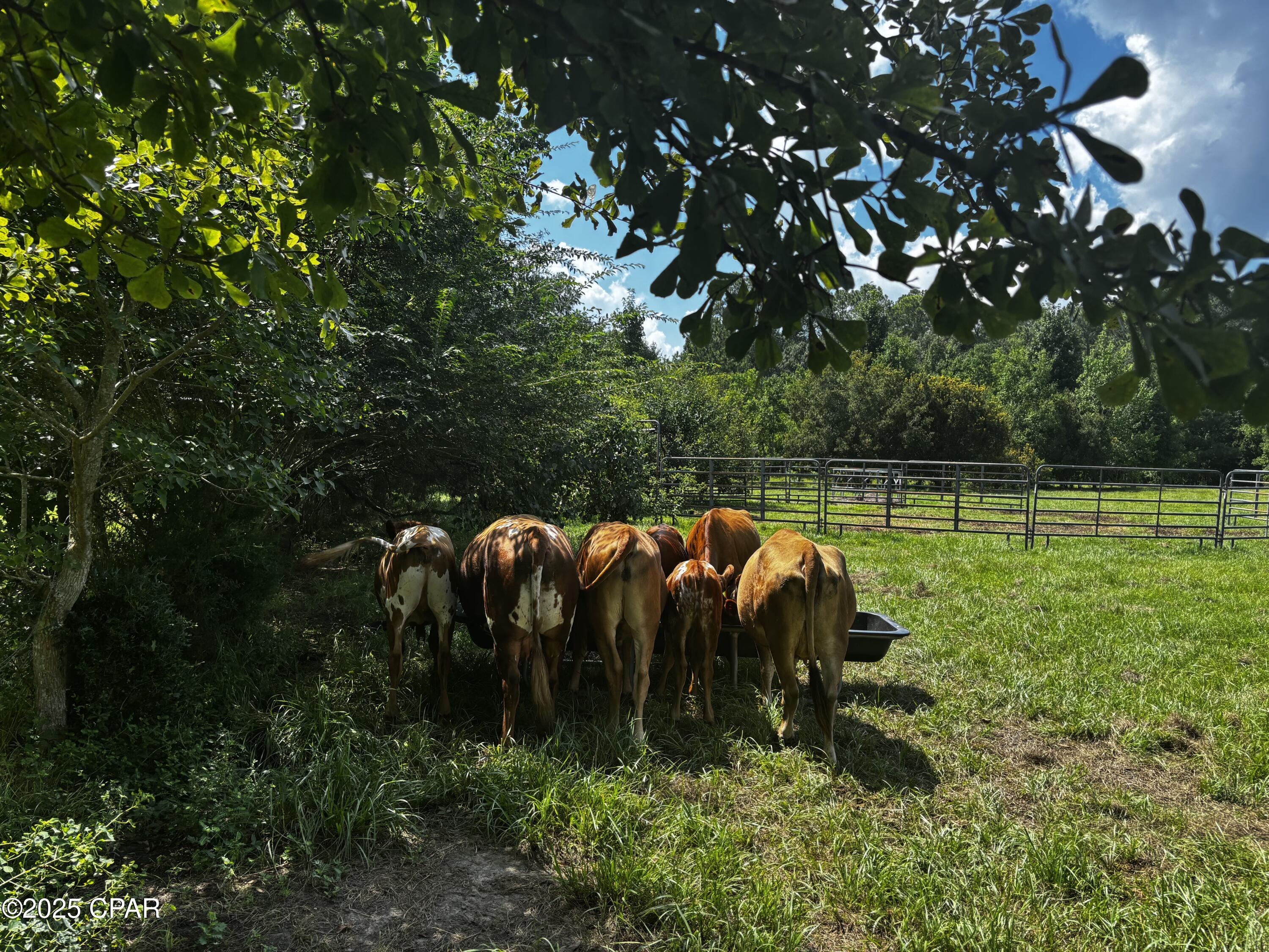 U8eslk7vpi5y_bovbsrq2cc8l4u2moomvyxwoj3ik5u