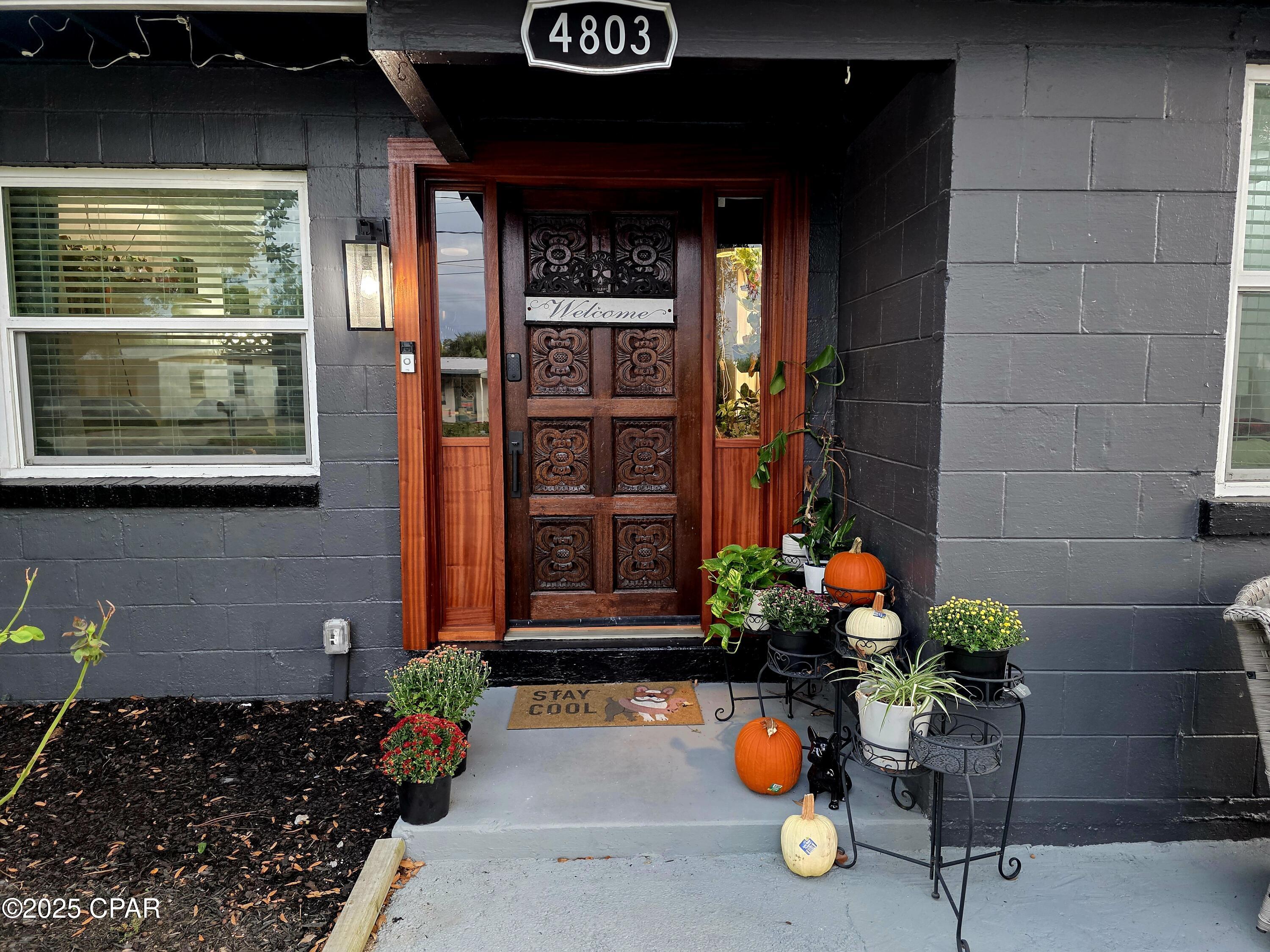 Kaziaob_m4lmeszgxcfwlkdbl9ziz8dp98hoggwhd 0