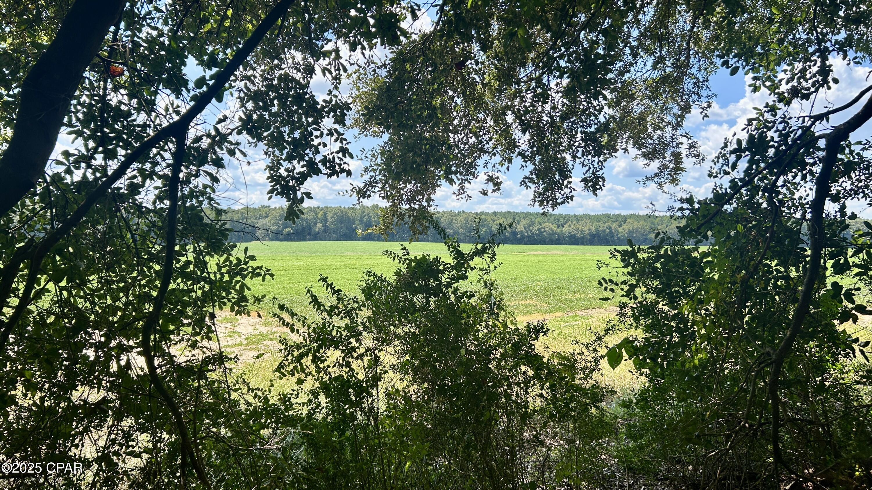 Rtfxzp_ocn5nq Z63iow Lbsdspvi5paat1s8c5ugkq