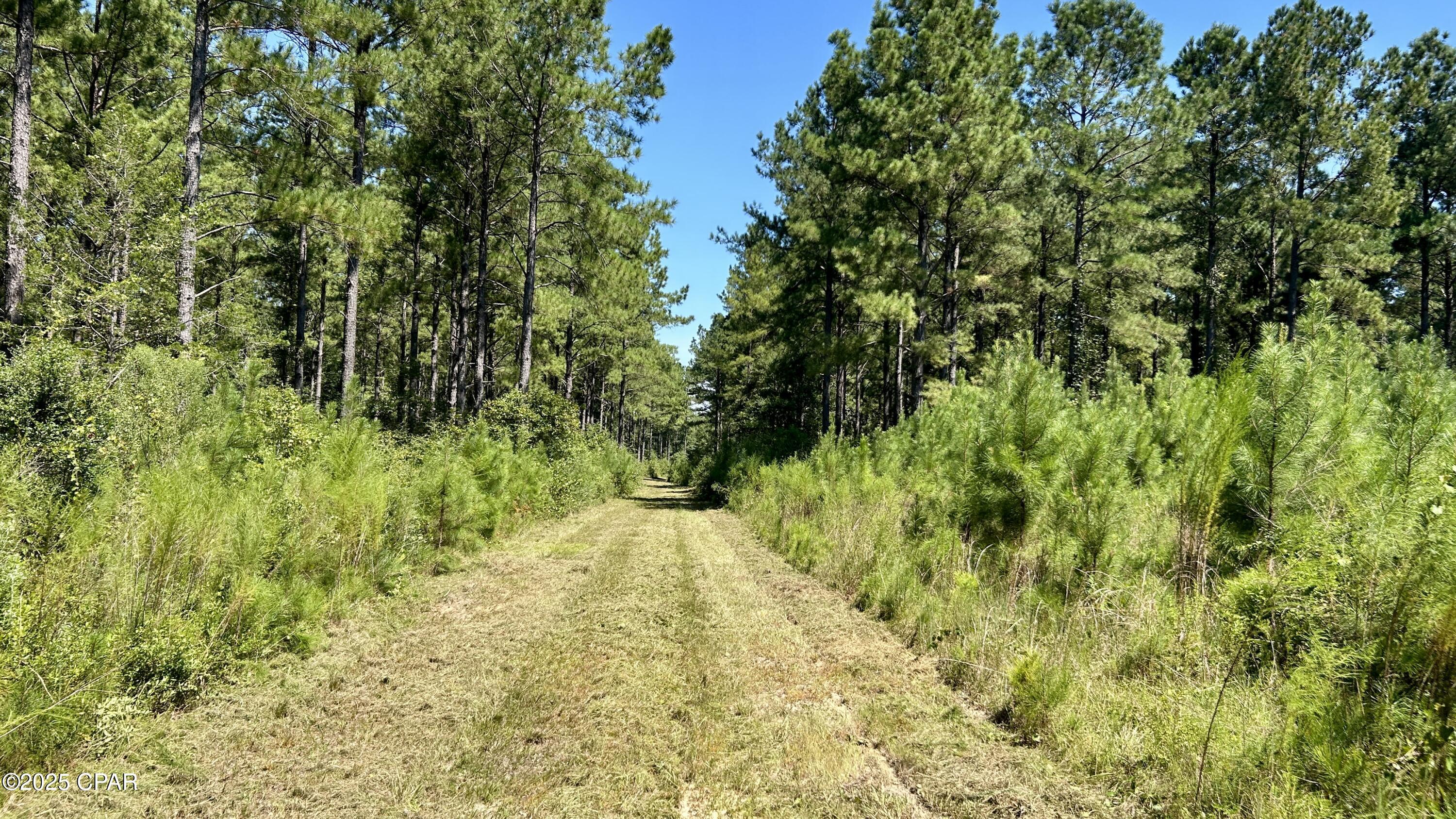 Tled0fnwlevmmkfruutpcf4zp4jrzef77ffvmzbdk_g