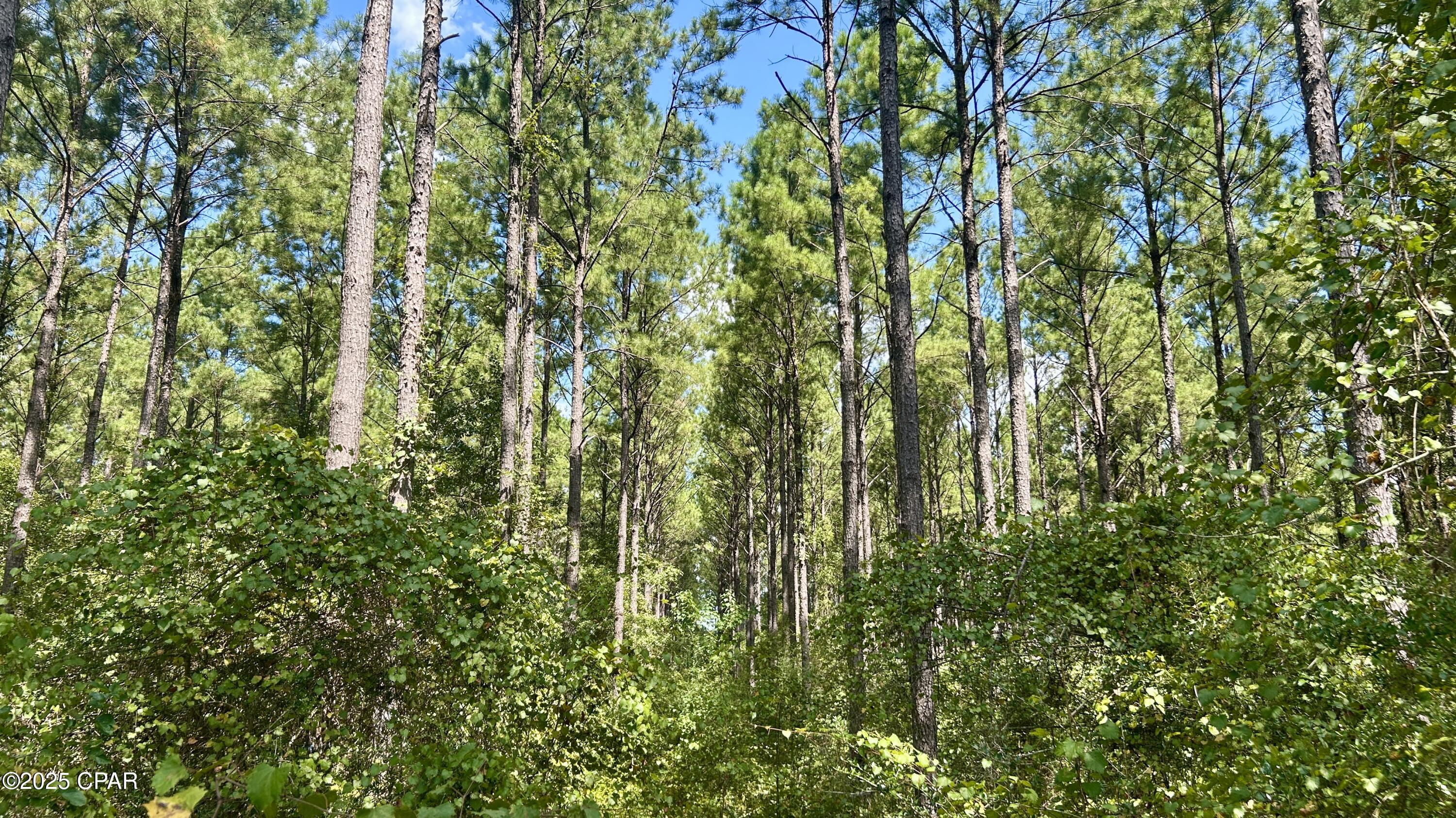 Ftnb7_xc8xycrsdtl6goiguudcvw4mhn Azylppmkj4