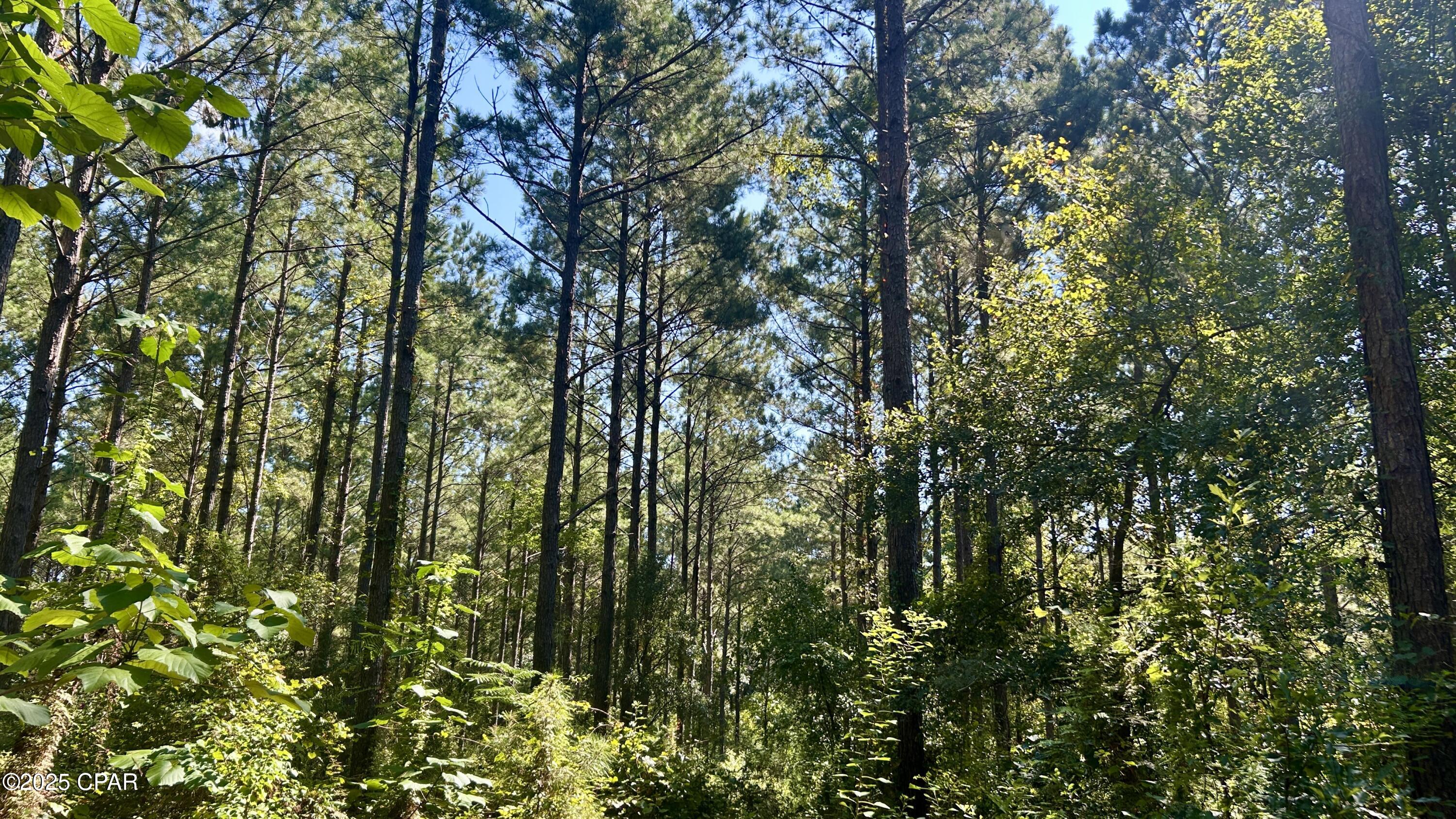 Zguj1z Zvbman_zijvgsg1o Jvi2adziazukezt Avo