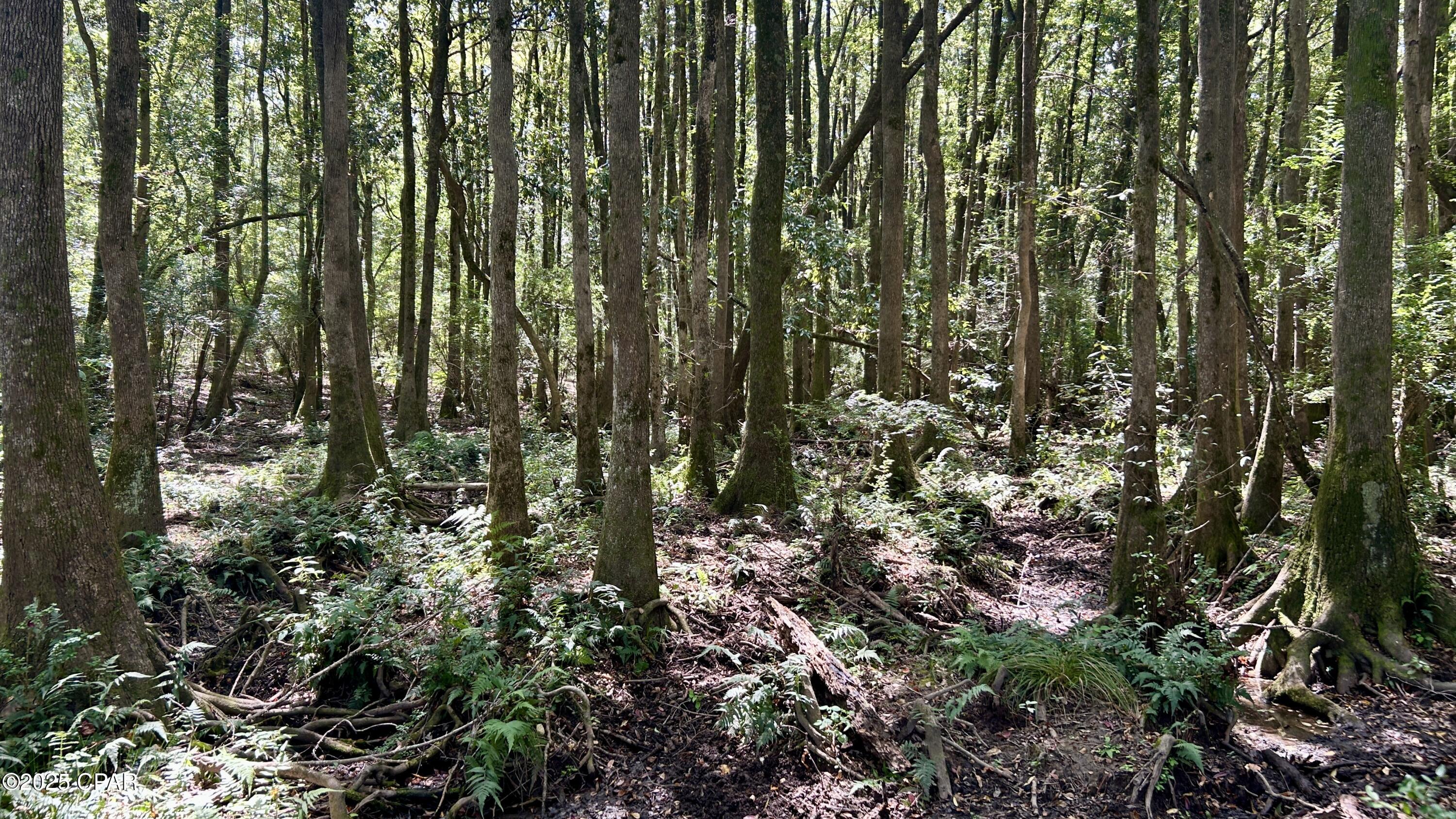 Wjofm E Y_68v4ivjhf7qs0kumemrwxwdw72ngxkywm