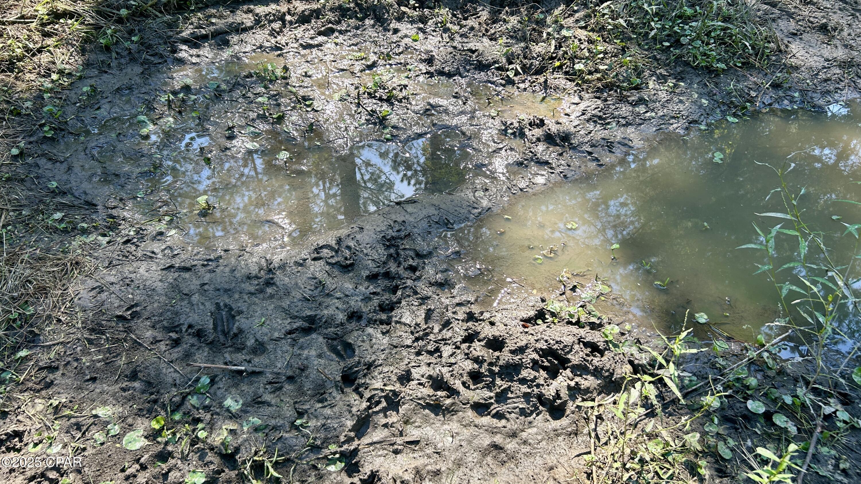 O4jt43fjixzzi_nw Gho8j1hfqyyzro1e_ Bcfibb1u