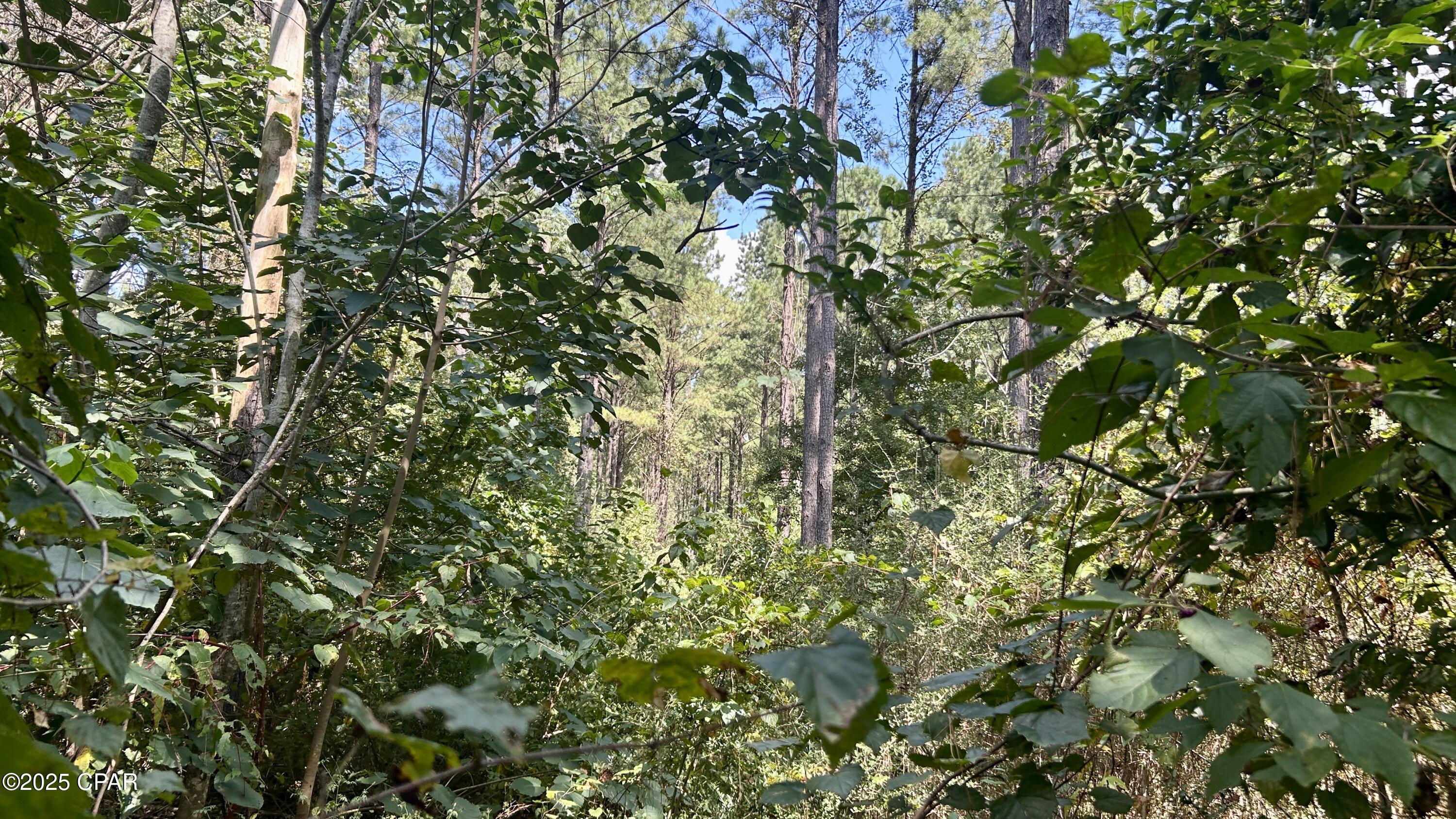 X4zm3vchabcjcajtipylq8_sz7ltxnuidj3z X5nb0i