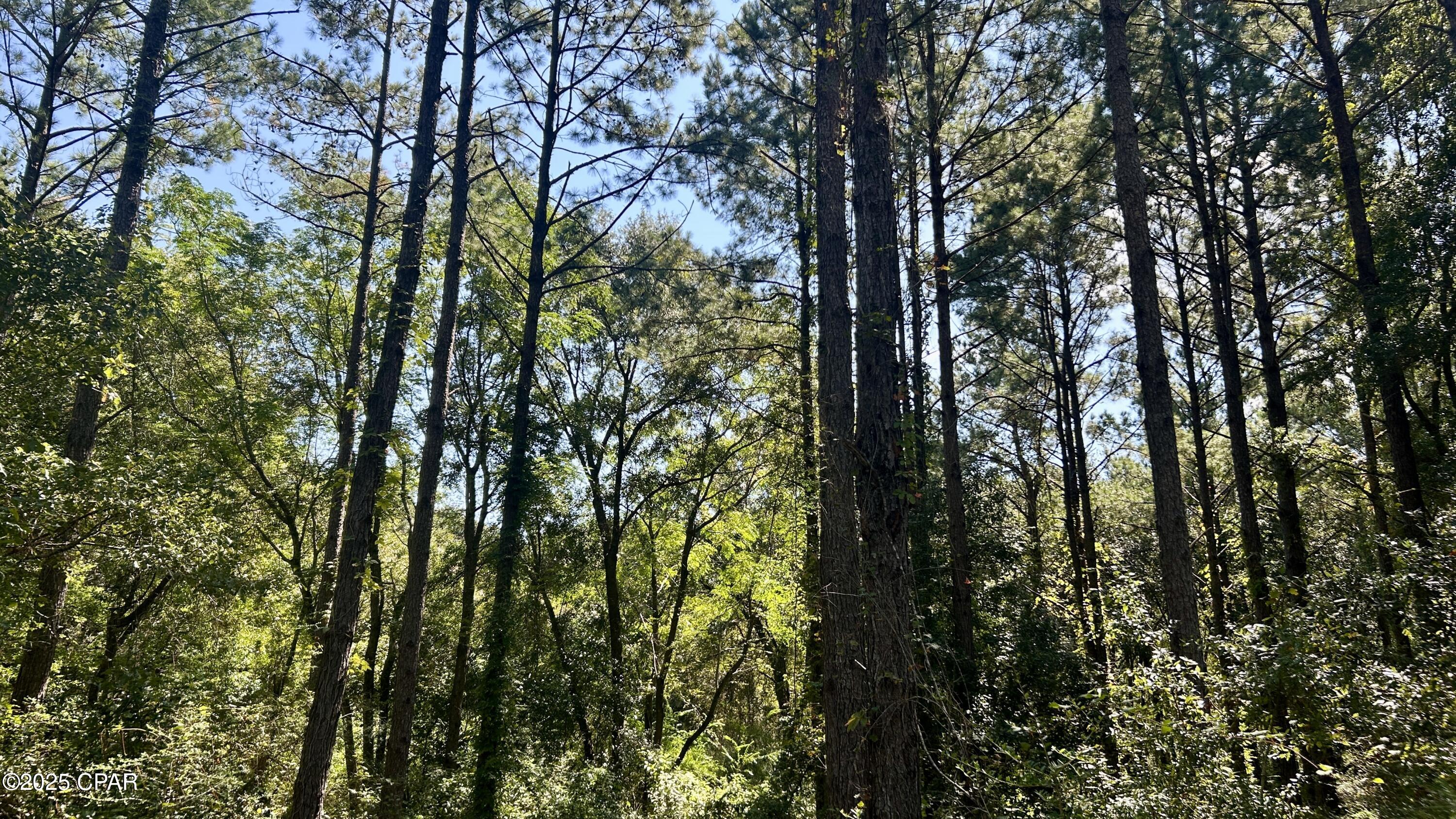 Ex5yqq1kztb1h5p2 1g_bmz67act9wvy9mguctiqo9k